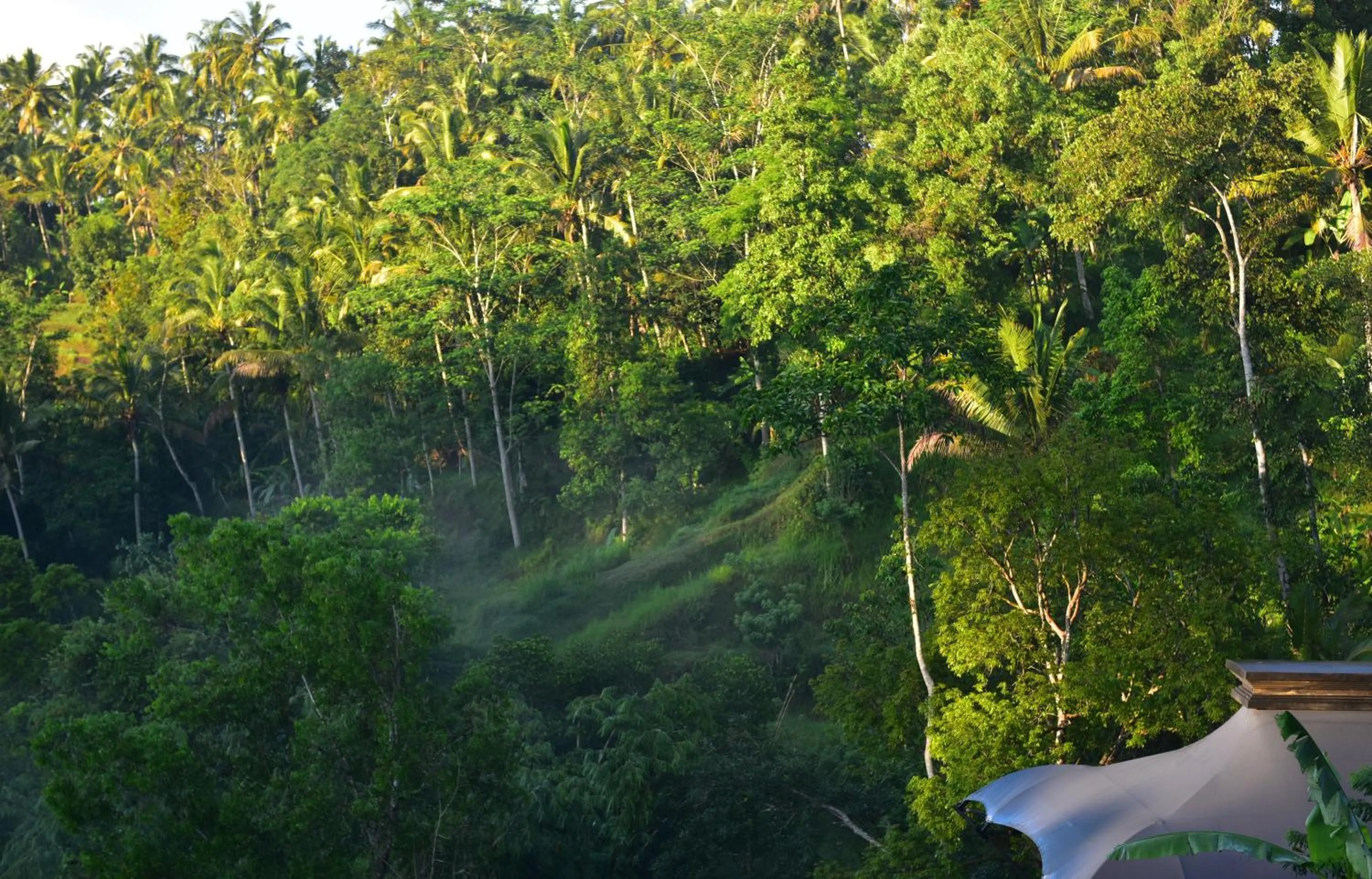 Area and facilities in Capella Ubud, Bali