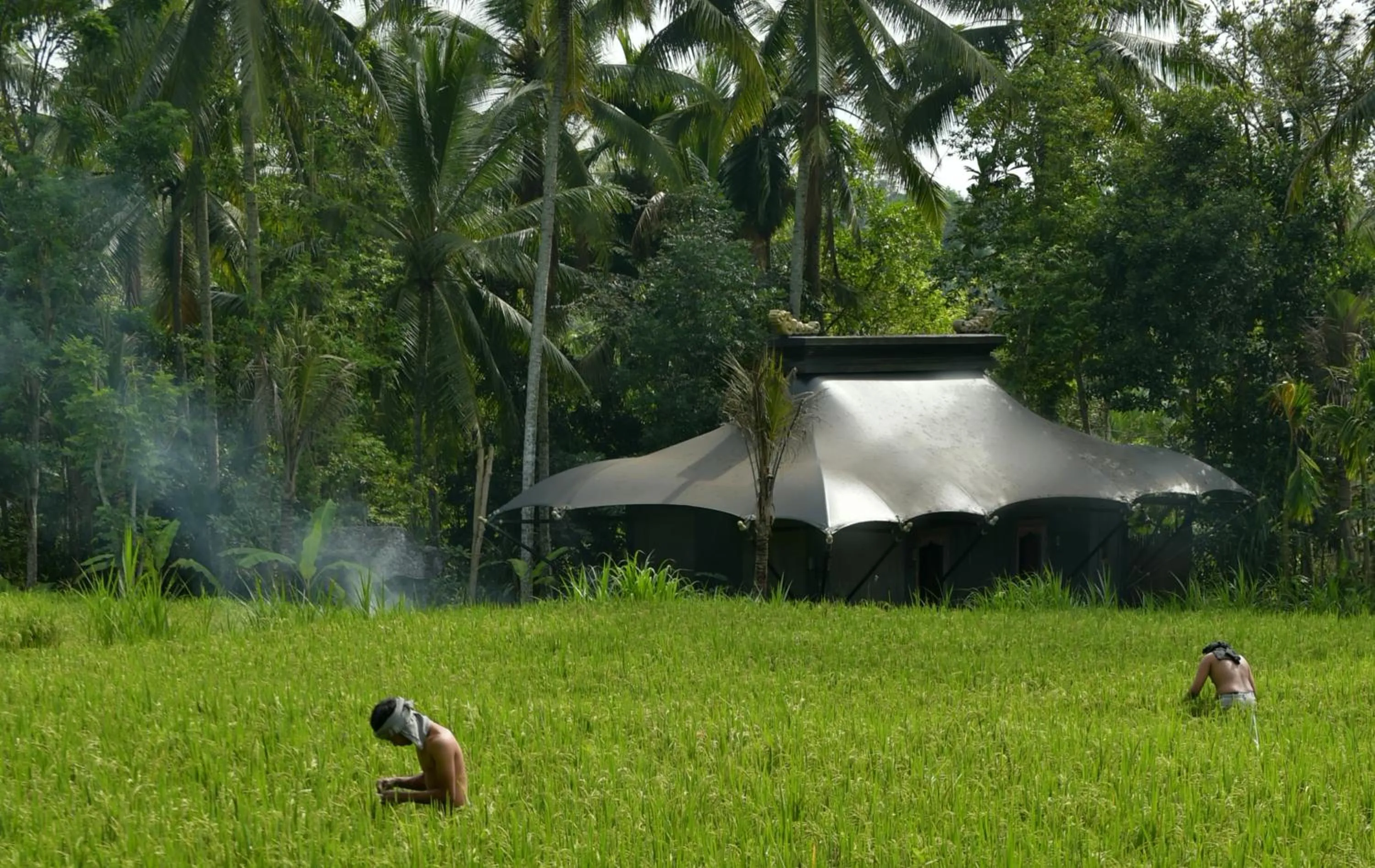 Area and facilities in Capella Ubud, Bali
