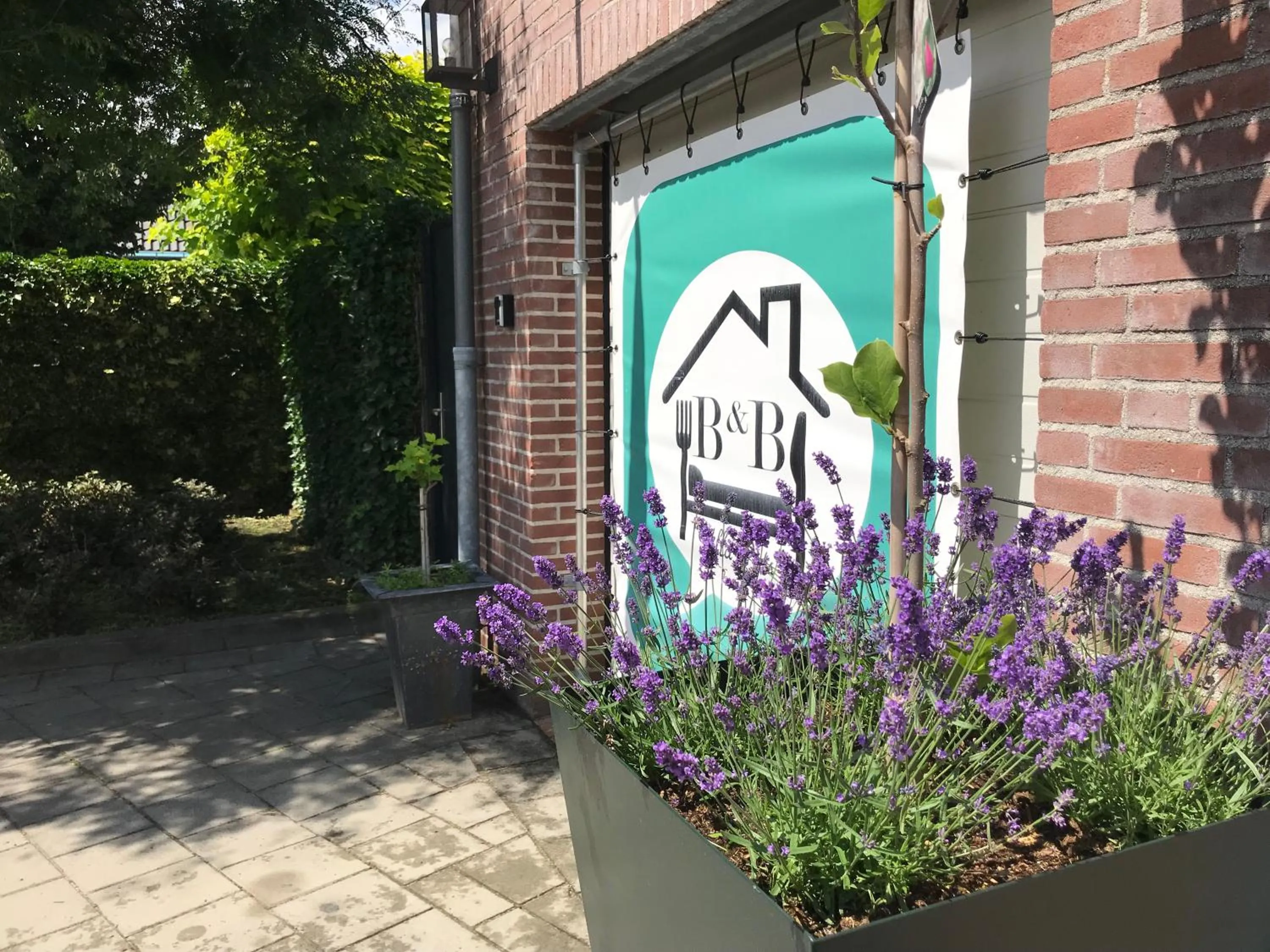 Street view in Villa Pats