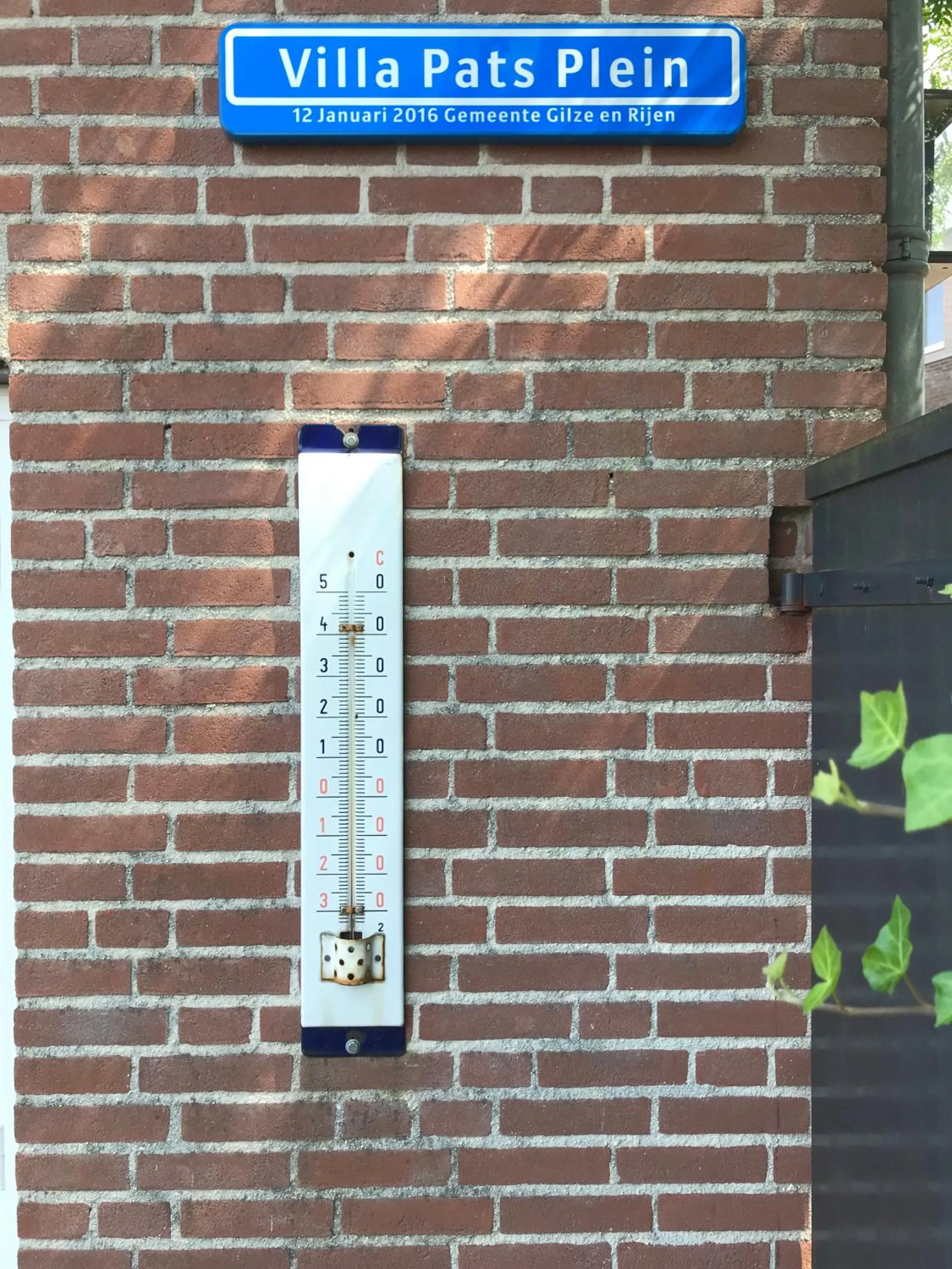 Garden in Villa Pats