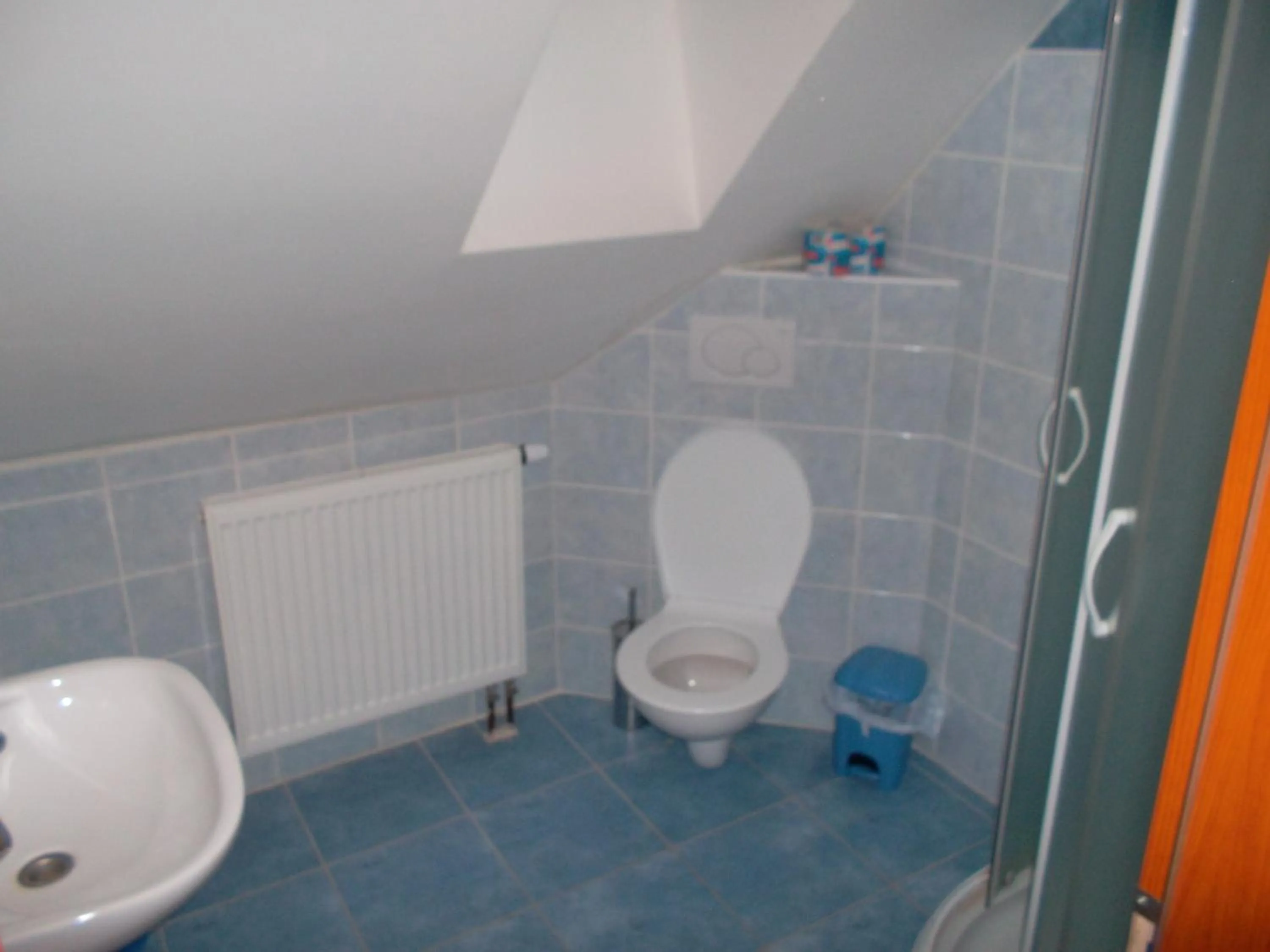 Bathroom in Hotel Anenský mlýn