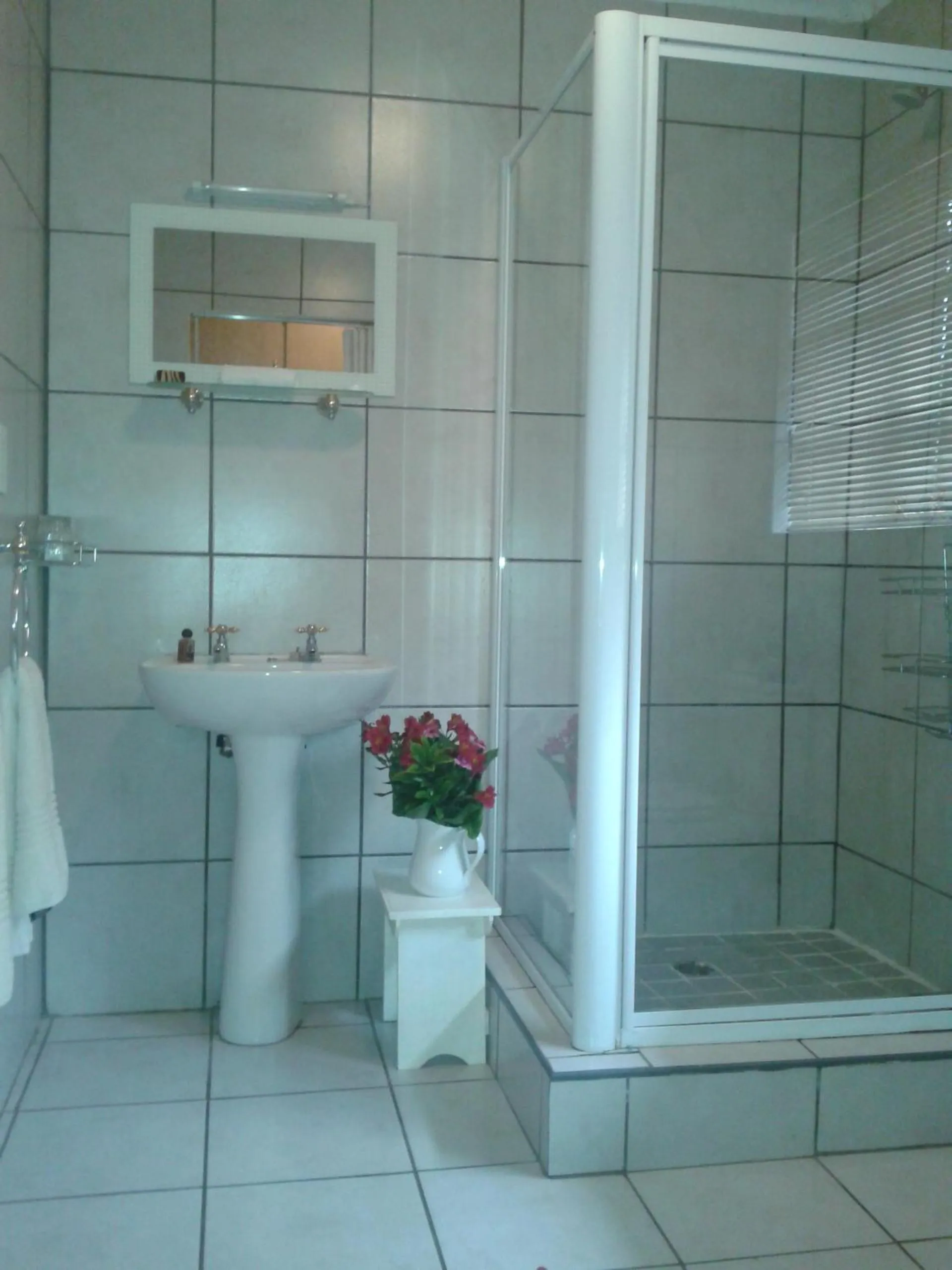 Bathroom in Shamrock Arms Guest Lodge