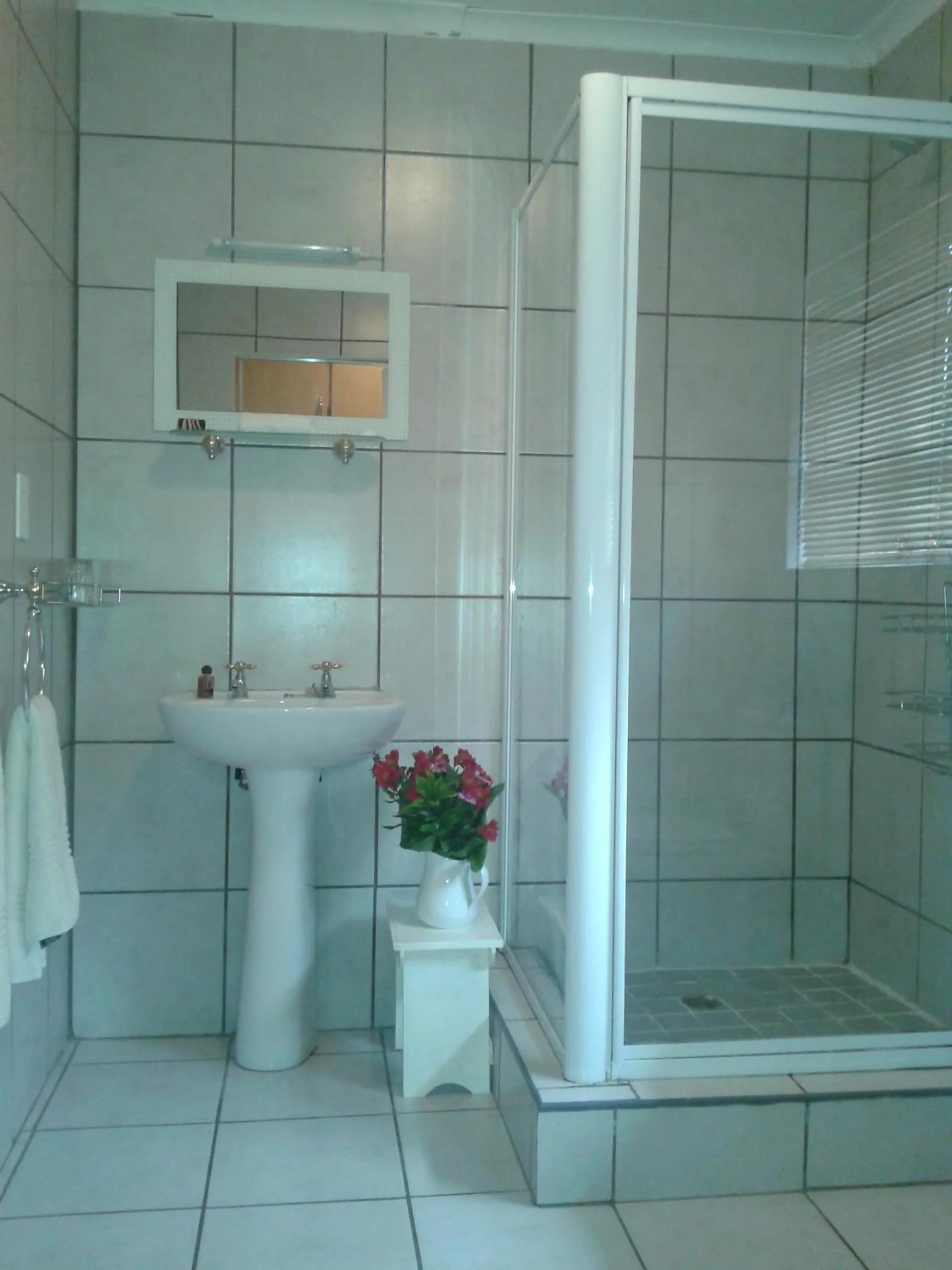 Shower in Shamrock Arms Guest Lodge