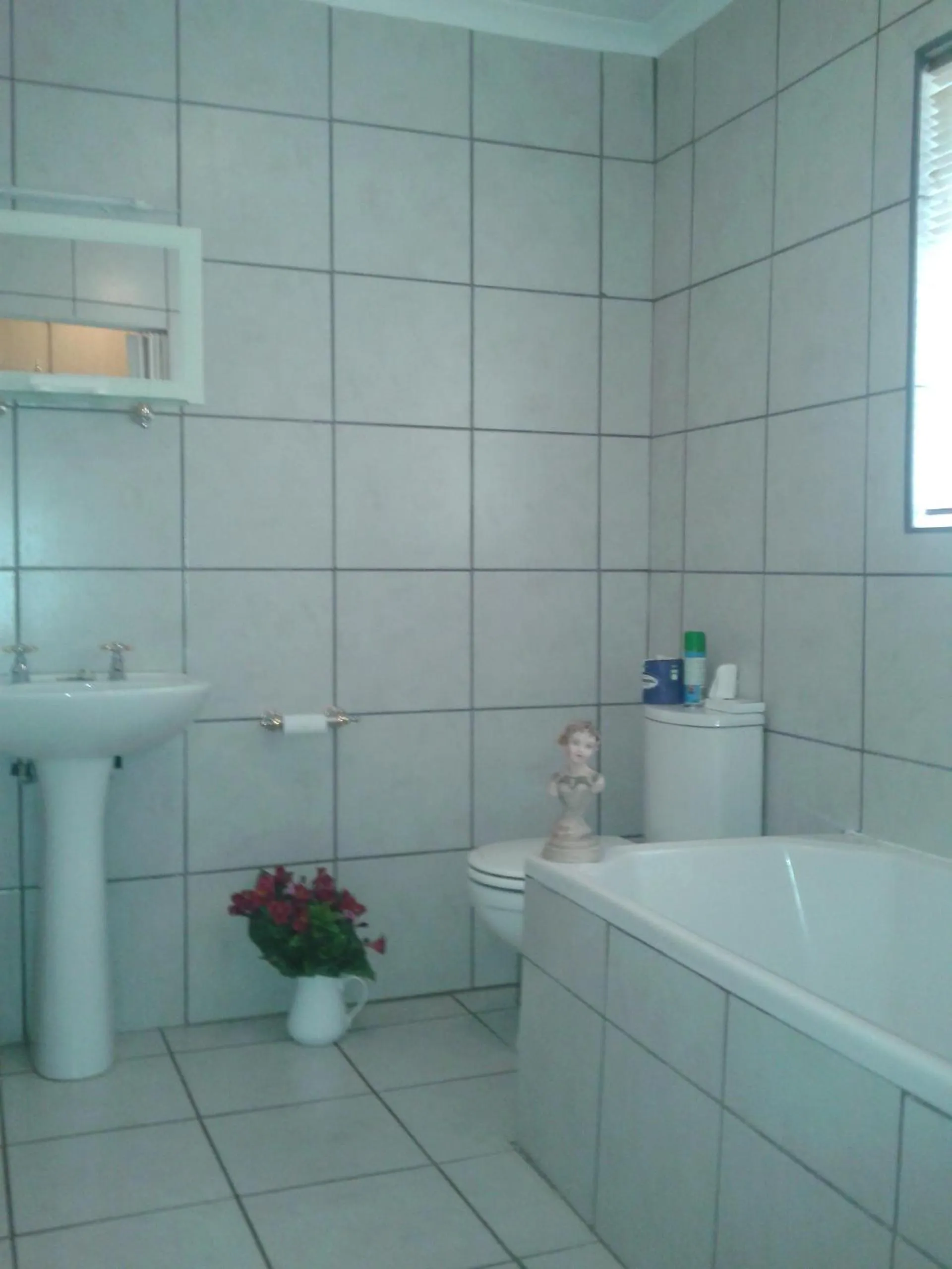 Bathroom in Shamrock Arms Guest Lodge