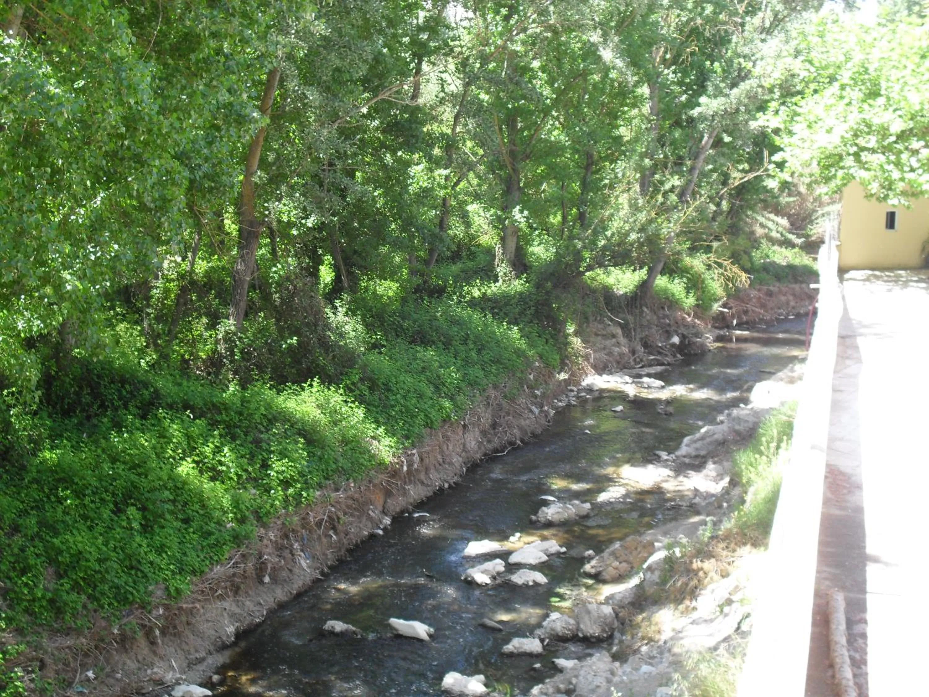 Spring in Hotel Río Piscina