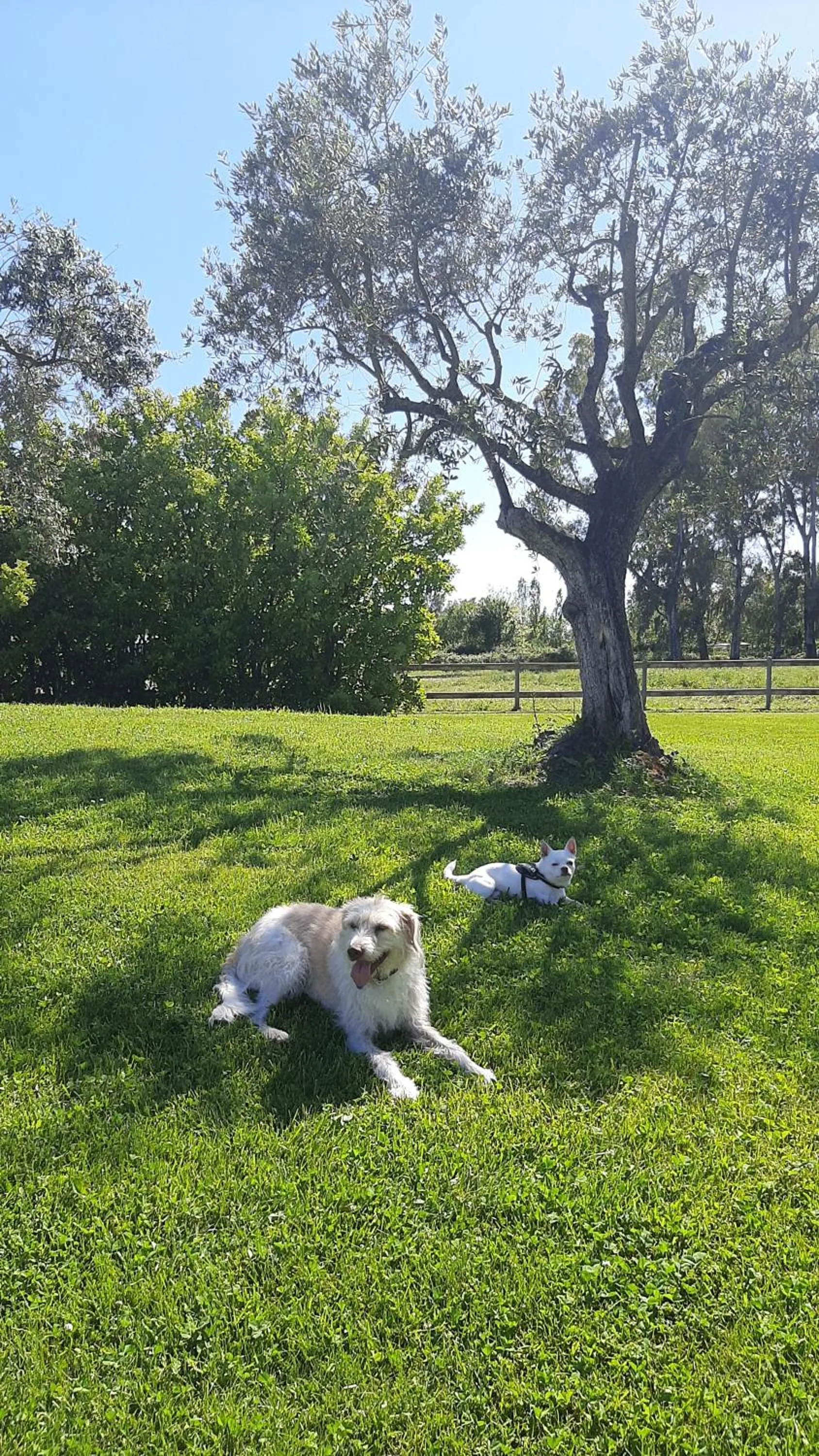 Il Casale Corte Rossa