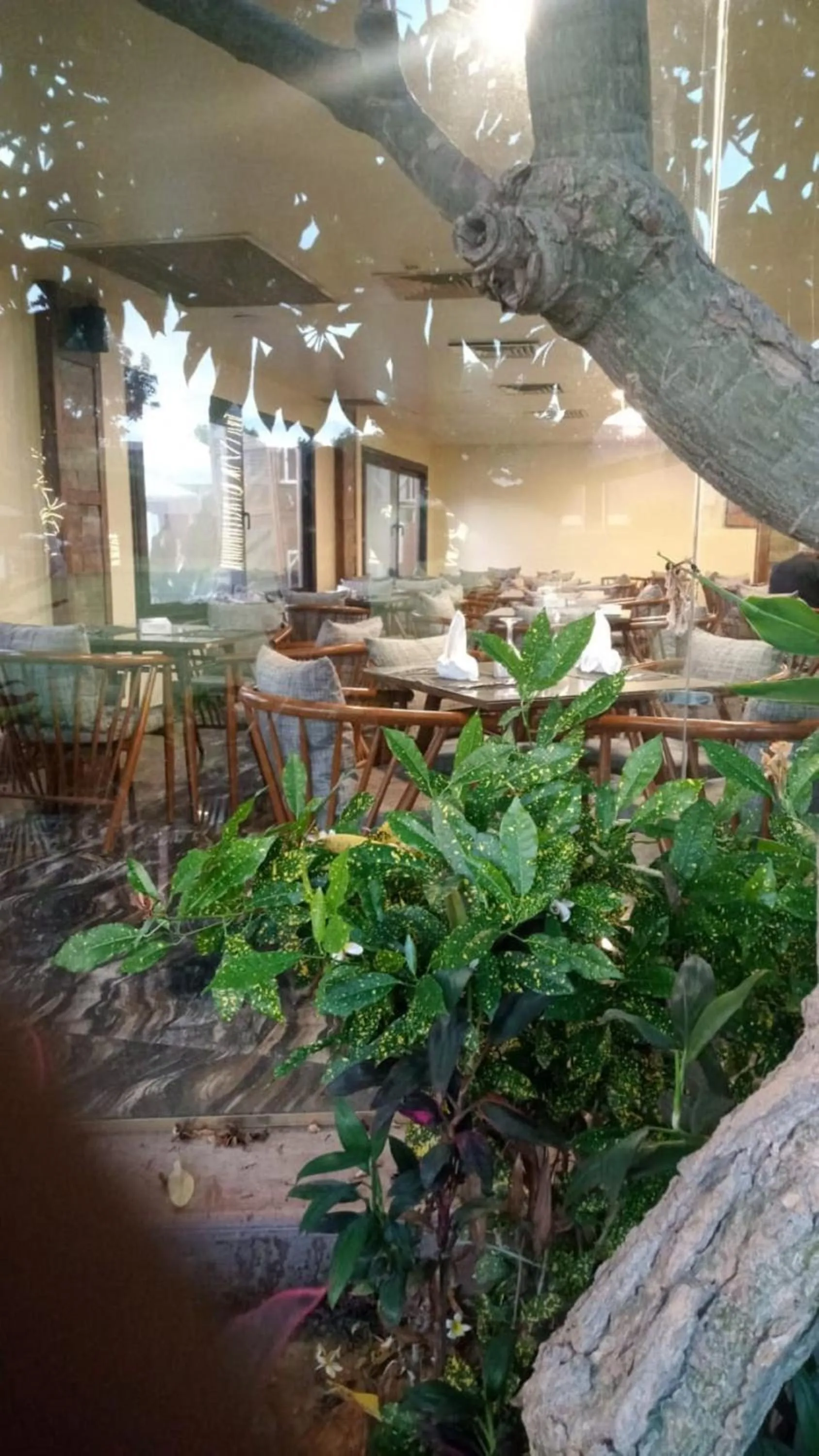 Restaurant/places to eat in Africana Hotel & Spa