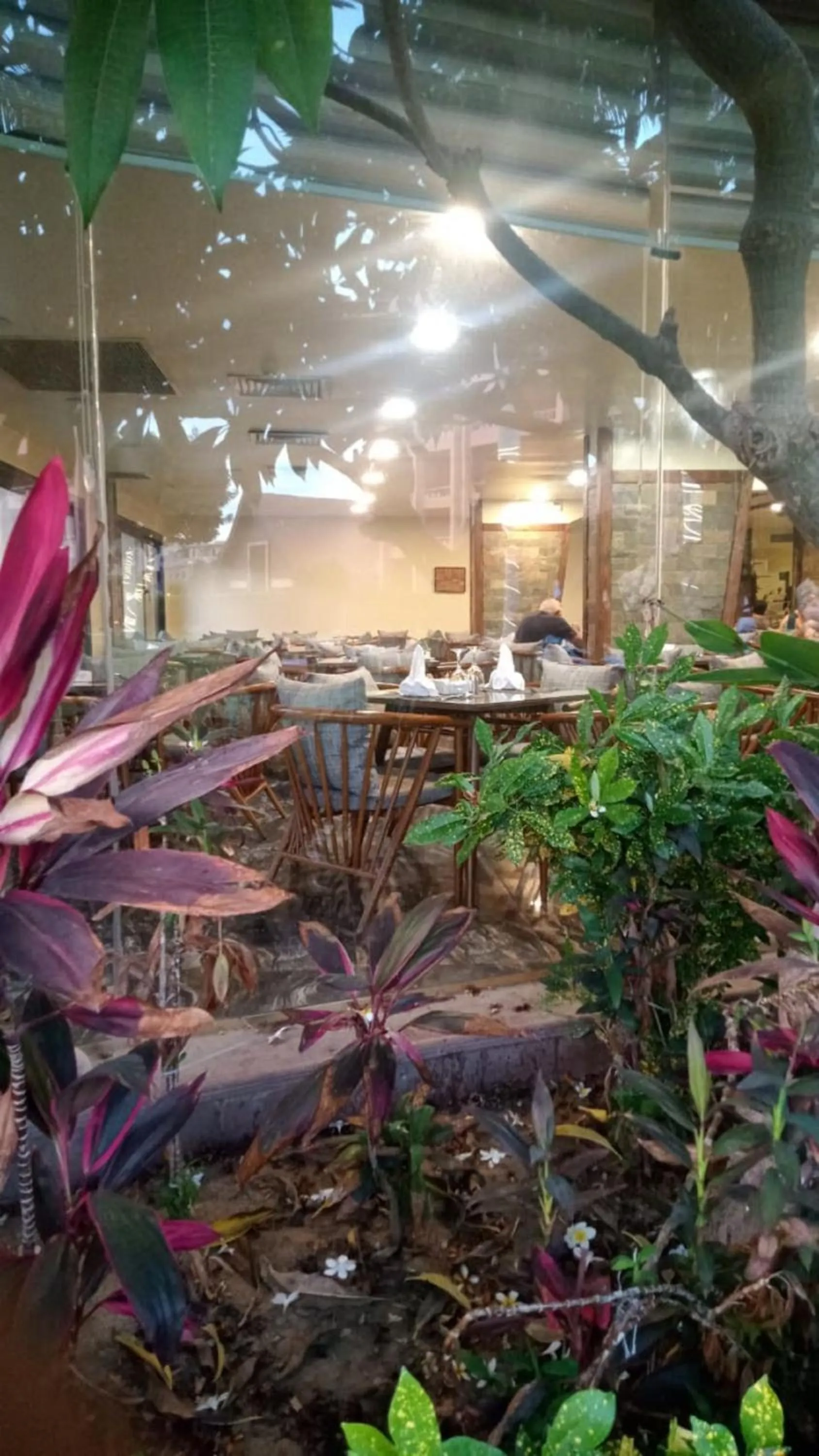 Restaurant/places to eat in Africana Hotel & Spa