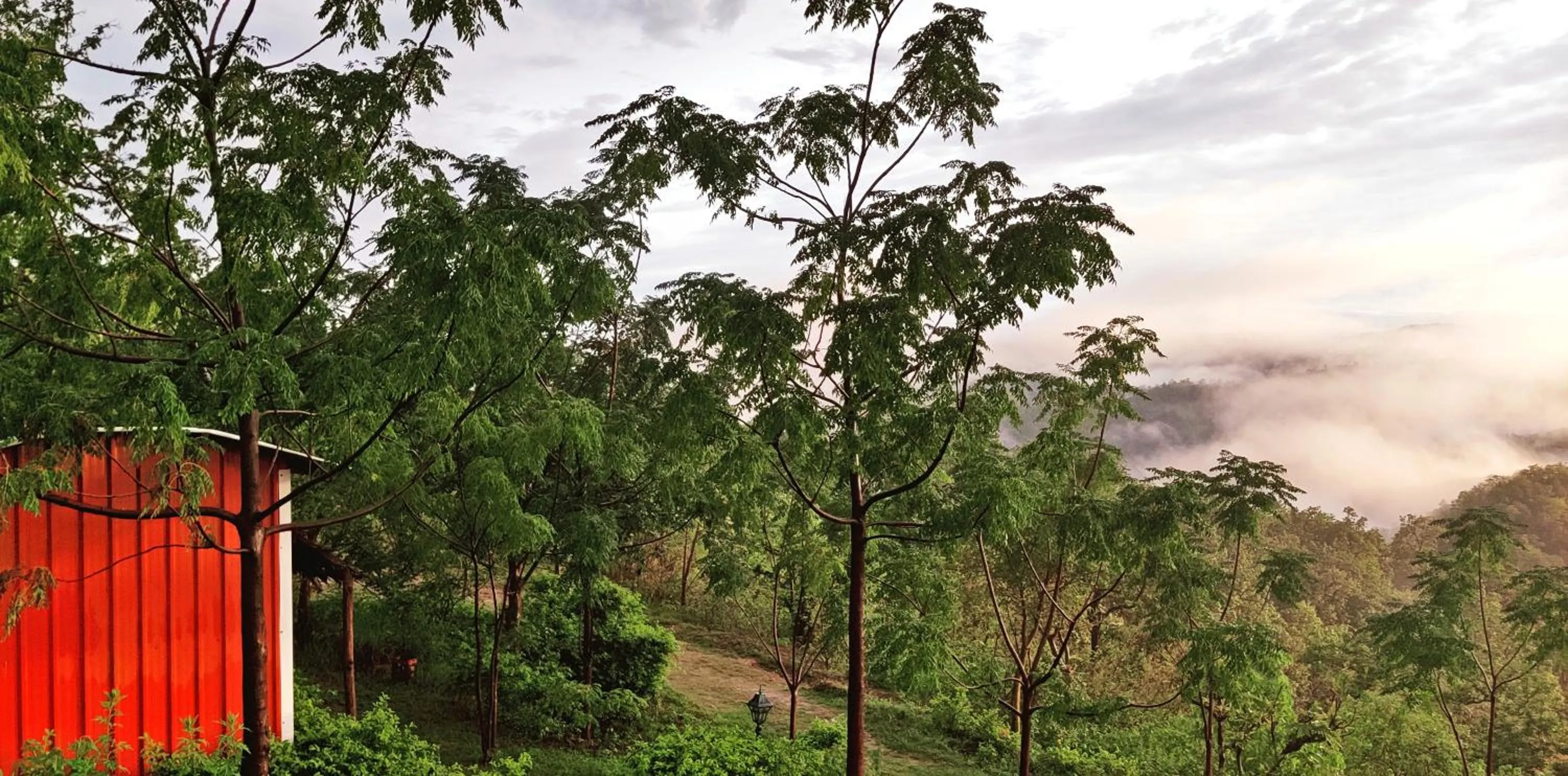 Garden view in LaHermitage Resort