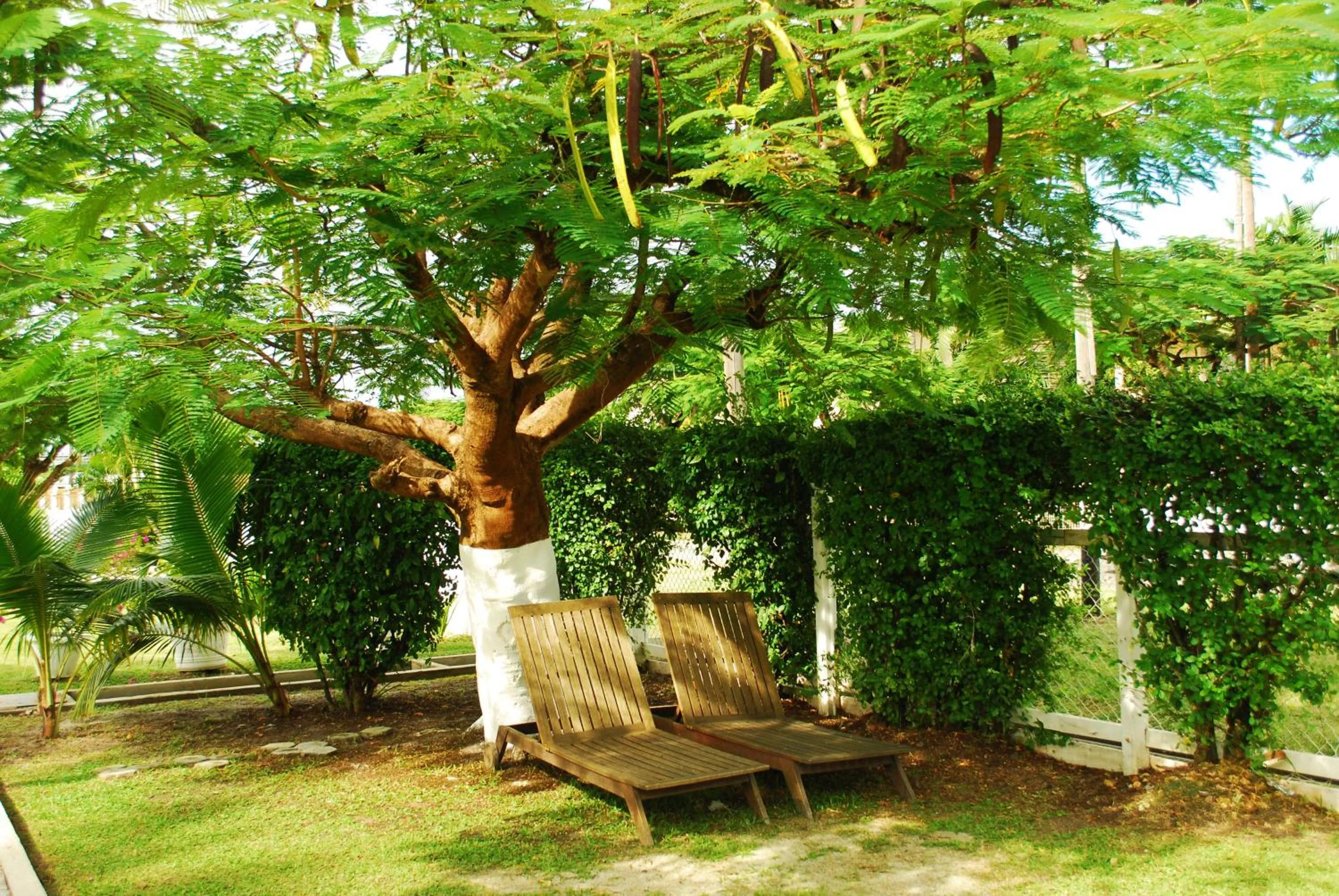 Garden in Herdmanston Lodge Hotel