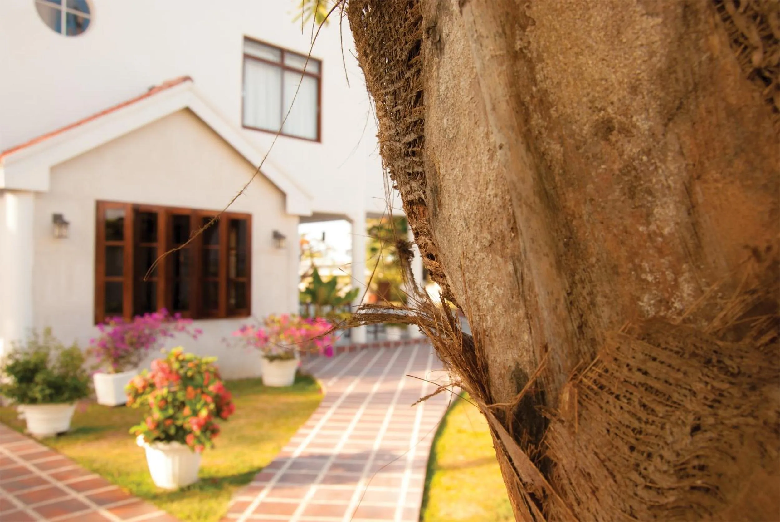 Property building in Herdmanston Lodge Hotel