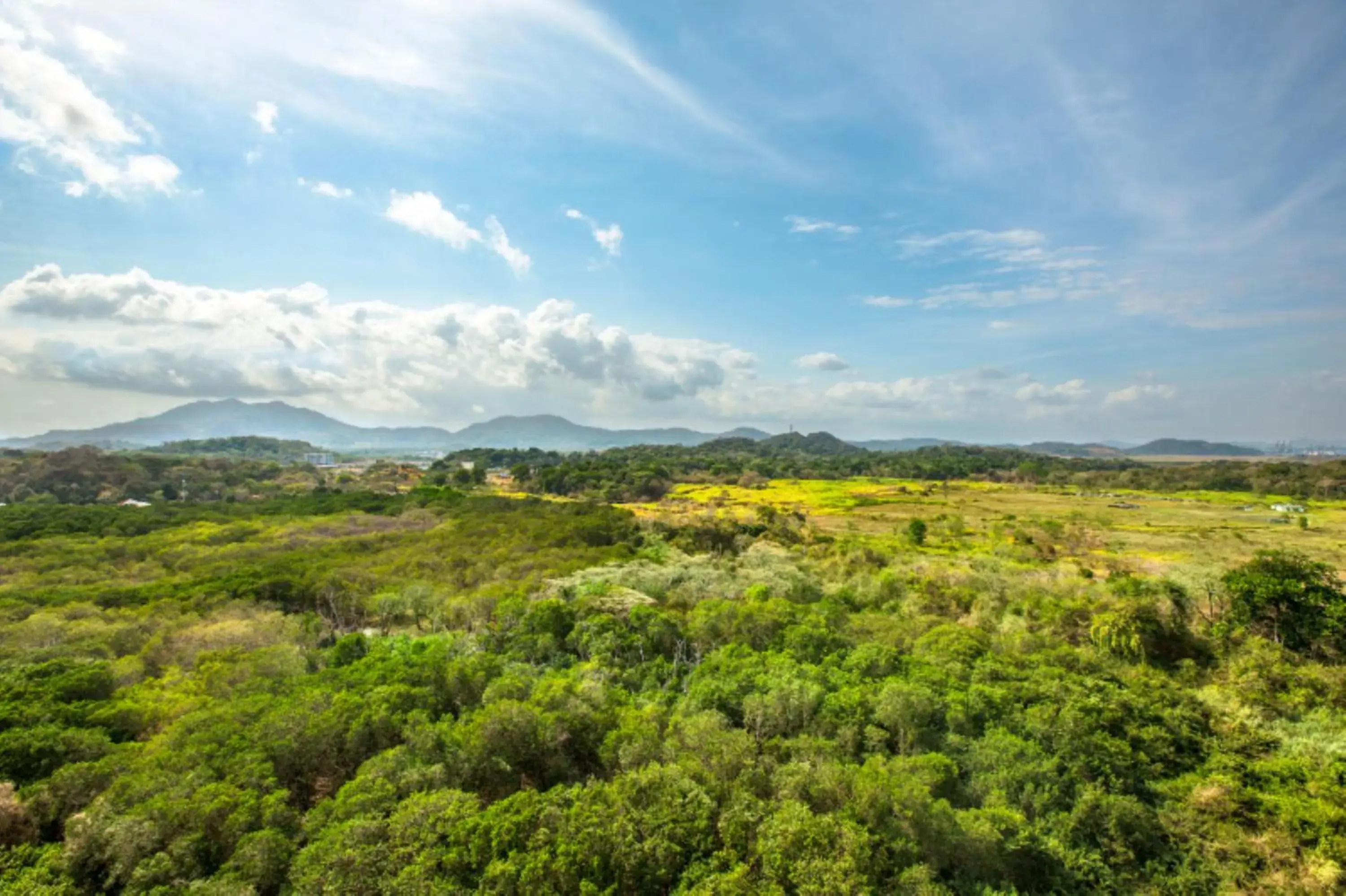 Executive, Club lounge access, Guest room, 1 King, Balcony in The Westin Playa Bonita Panama Executive, Club lounge access, Guest room, 1 King, Balcony in The Westin Playa Bonita Panama