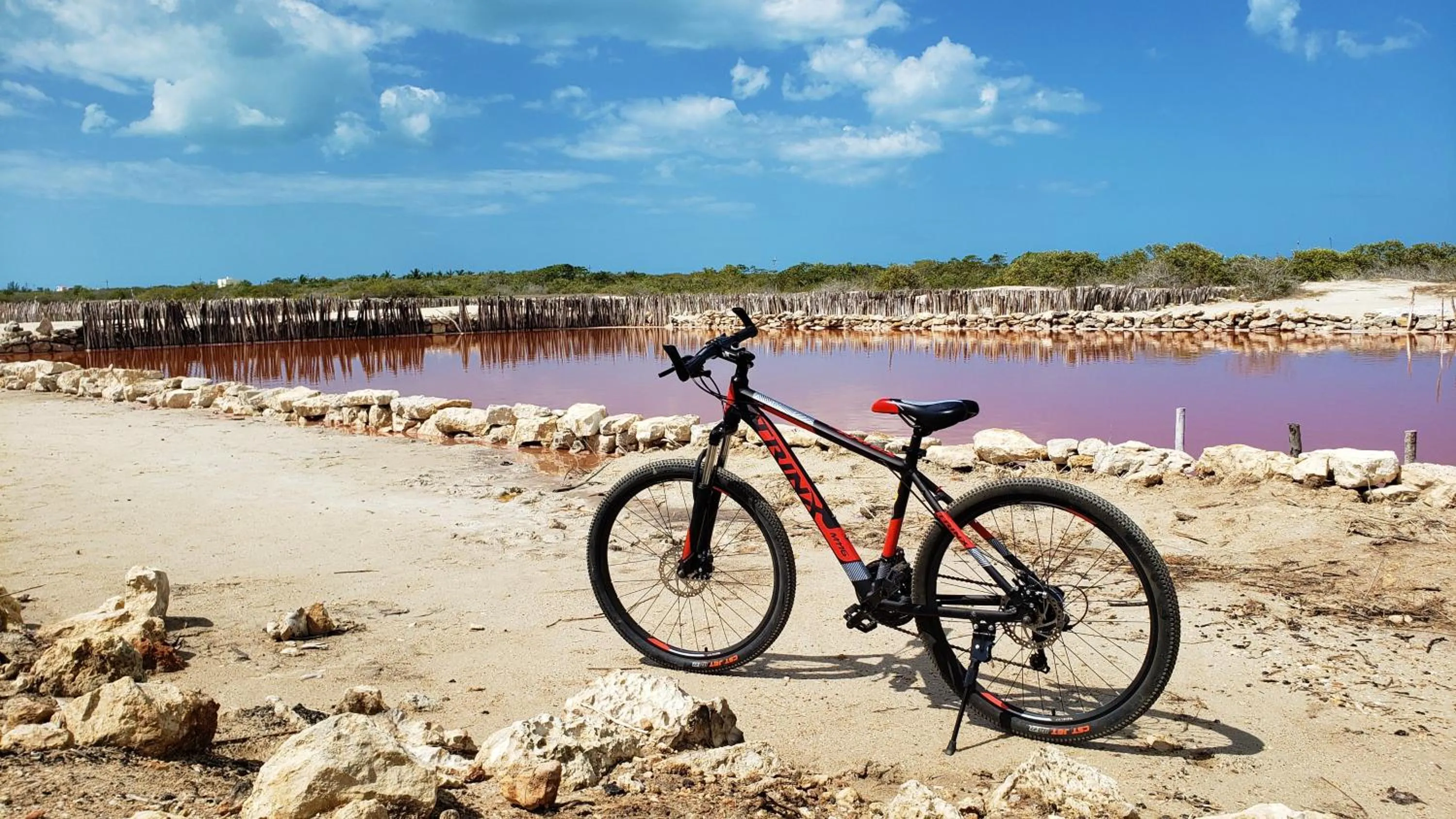 Activities in Reef Yucatán All Inclusive & Convention Center