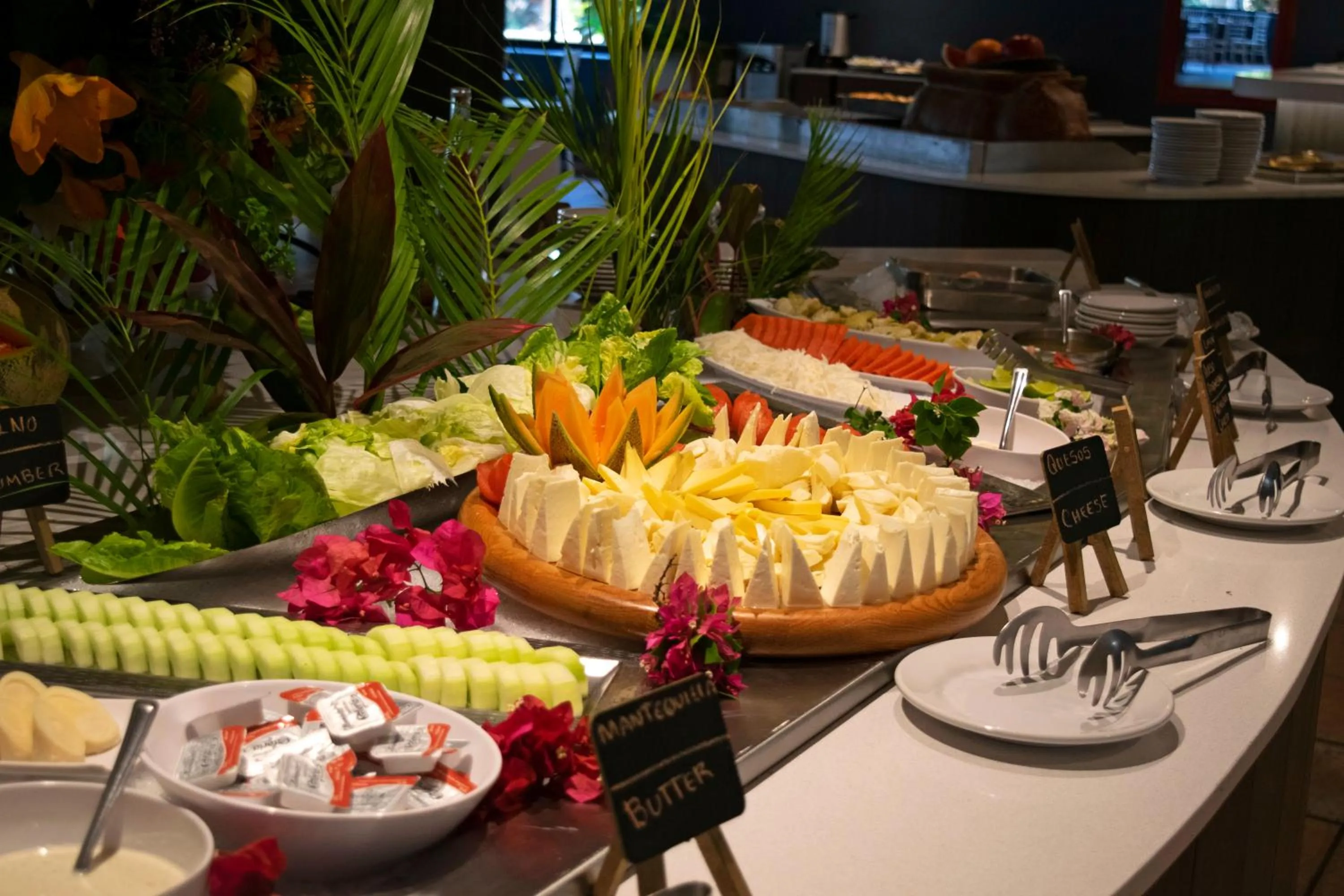 Food and drinks in Reef Yucatán All Inclusive & Convention Center