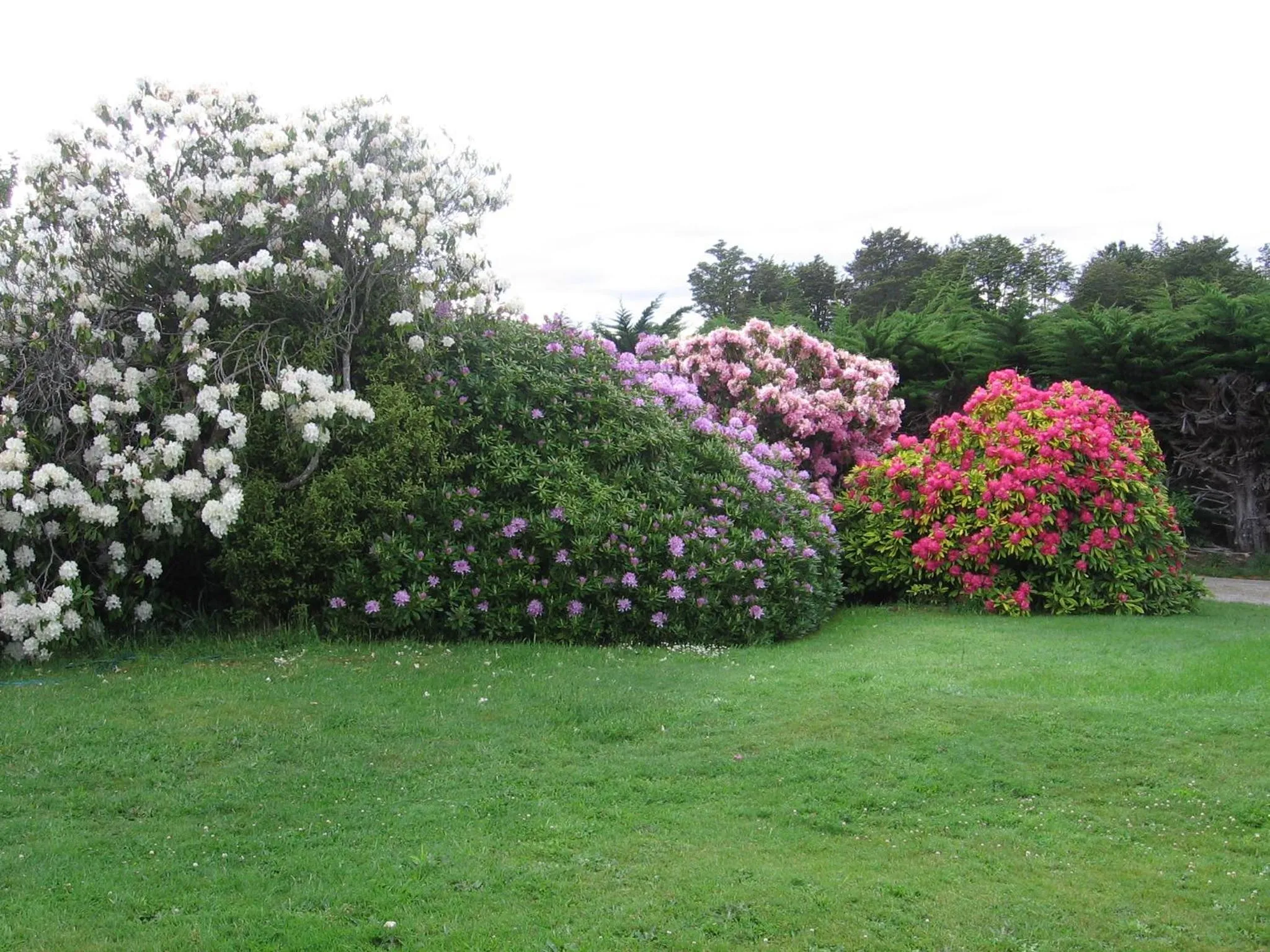 Garden in Murrells Grand View House