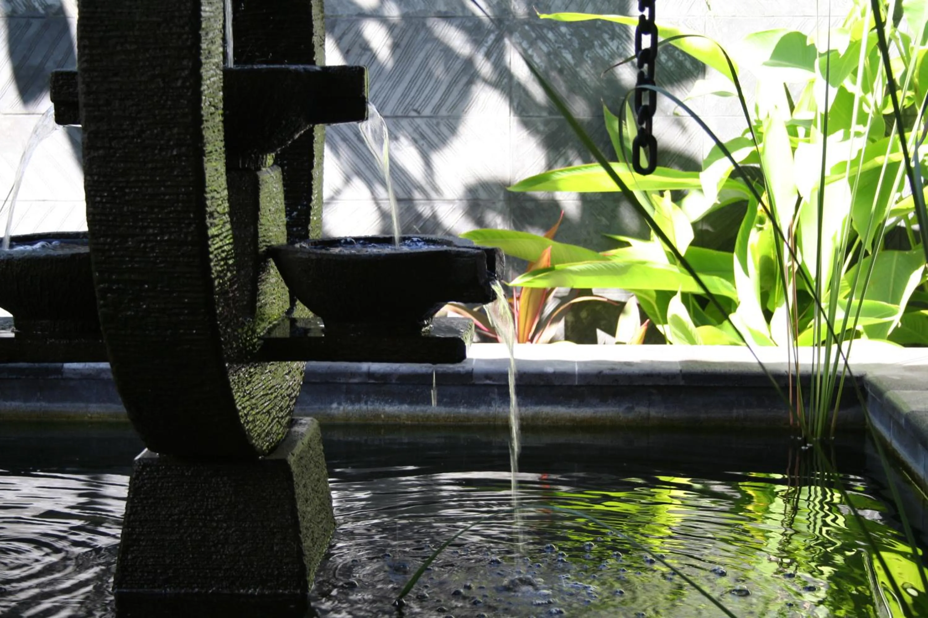 Garden in Villa Teman