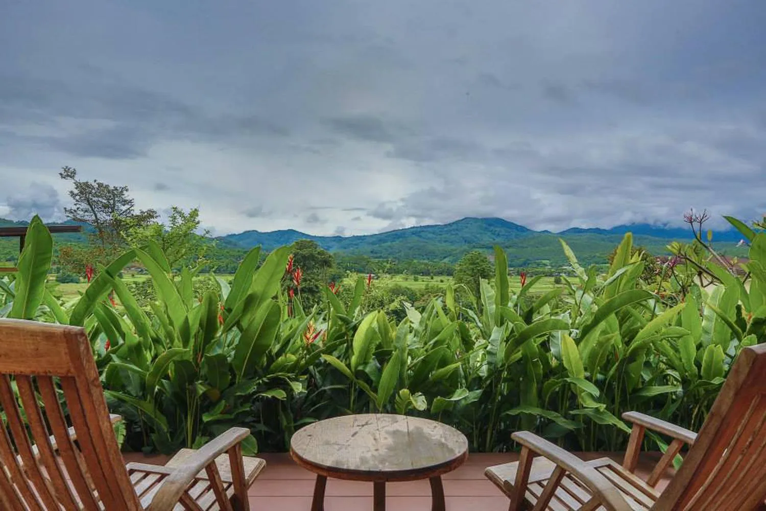 View (from property/room) in Puripai Villa Wellness & Retreat