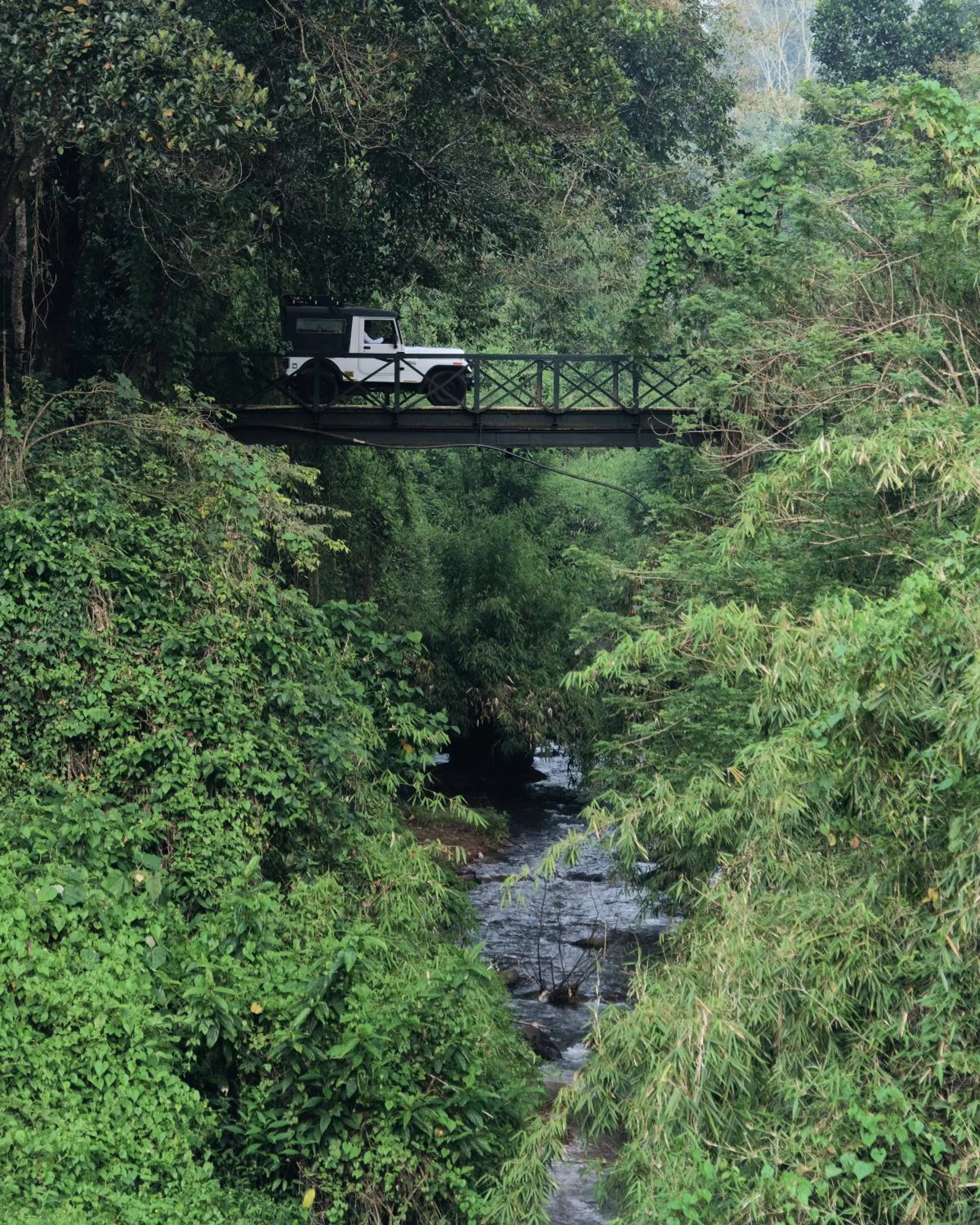 Natural landscape in Vythiri Village