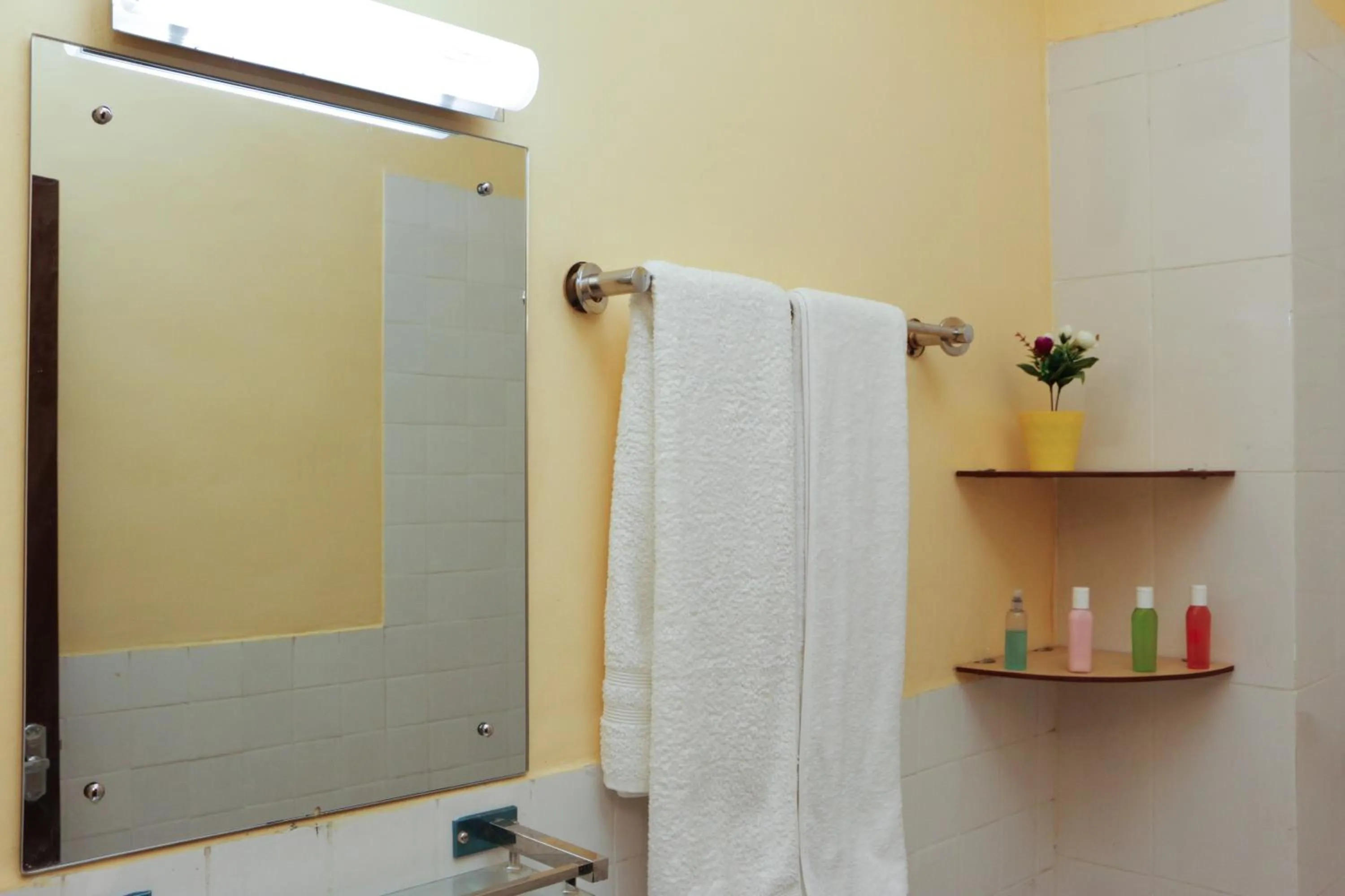 Shower in Hotel Lapha