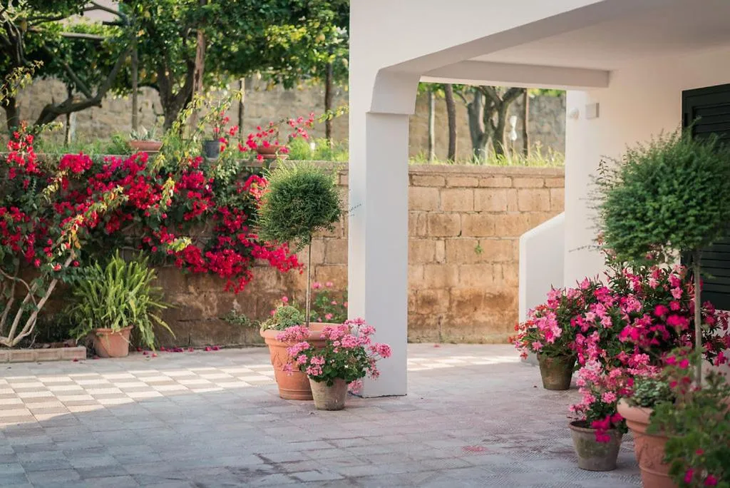 Property building in L'Agrumeto