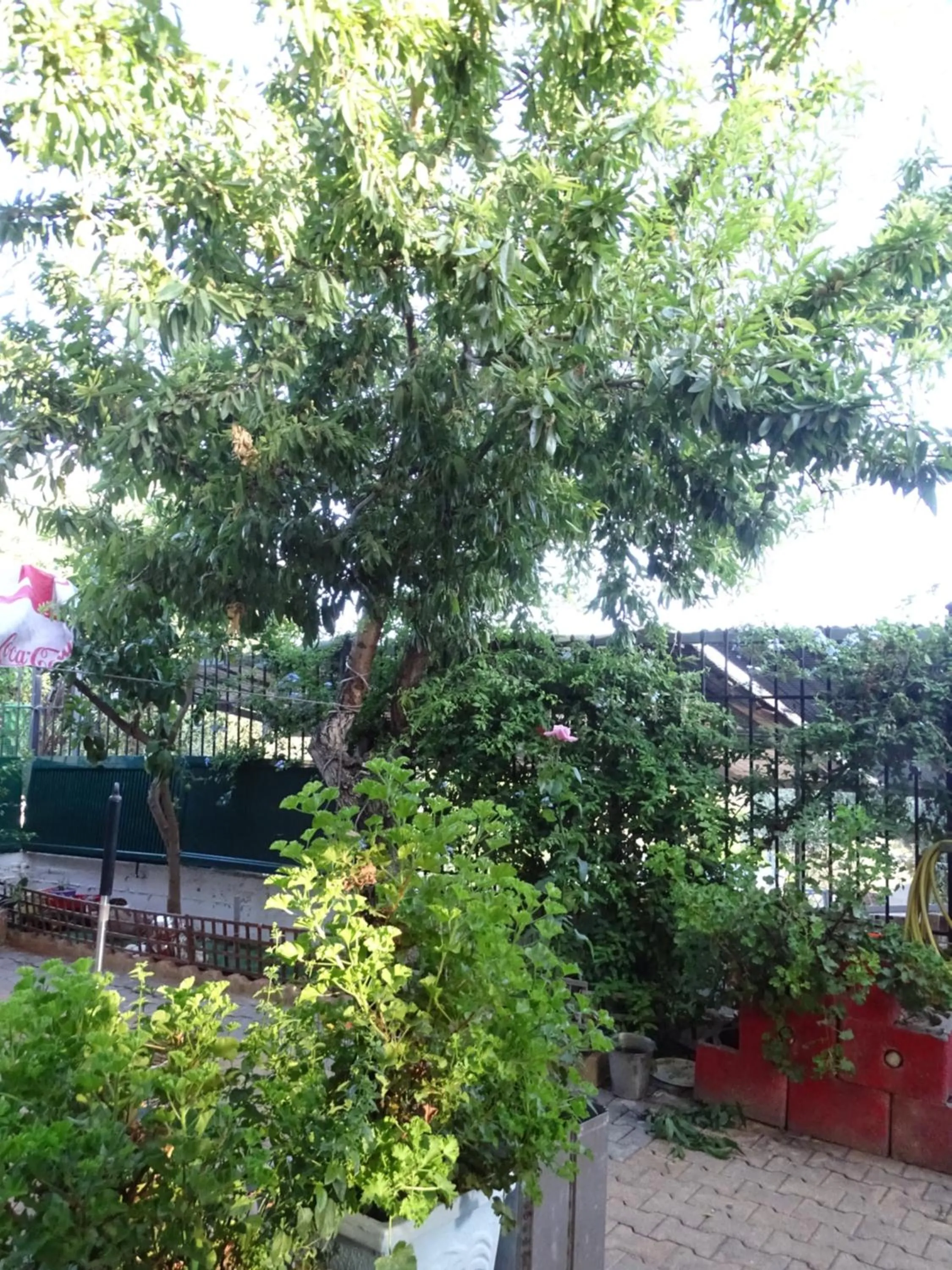 Property building in Artemis GreenHill