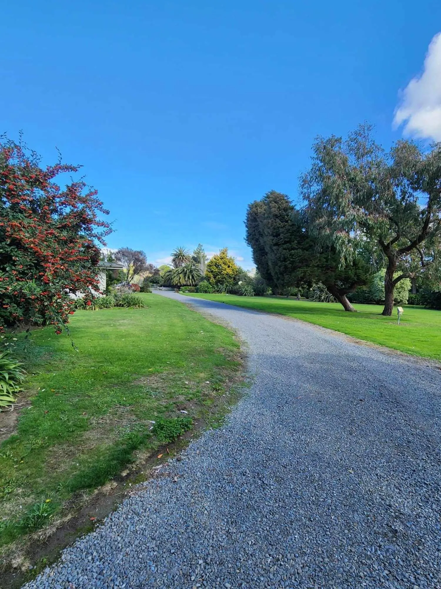 Natural landscape in Bulls Motel & Holiday Park
