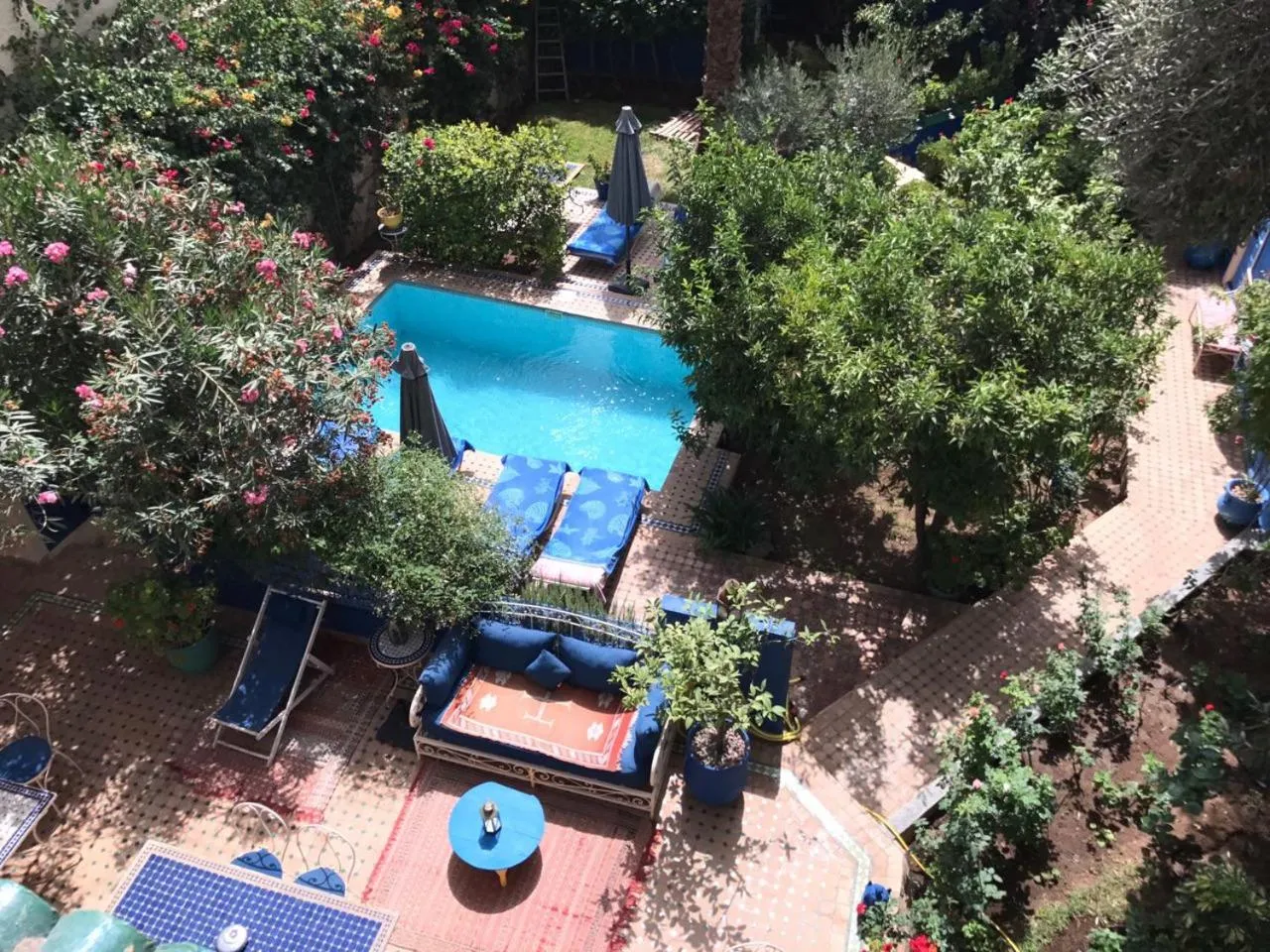 Swimming pool in Riad Jean Claude