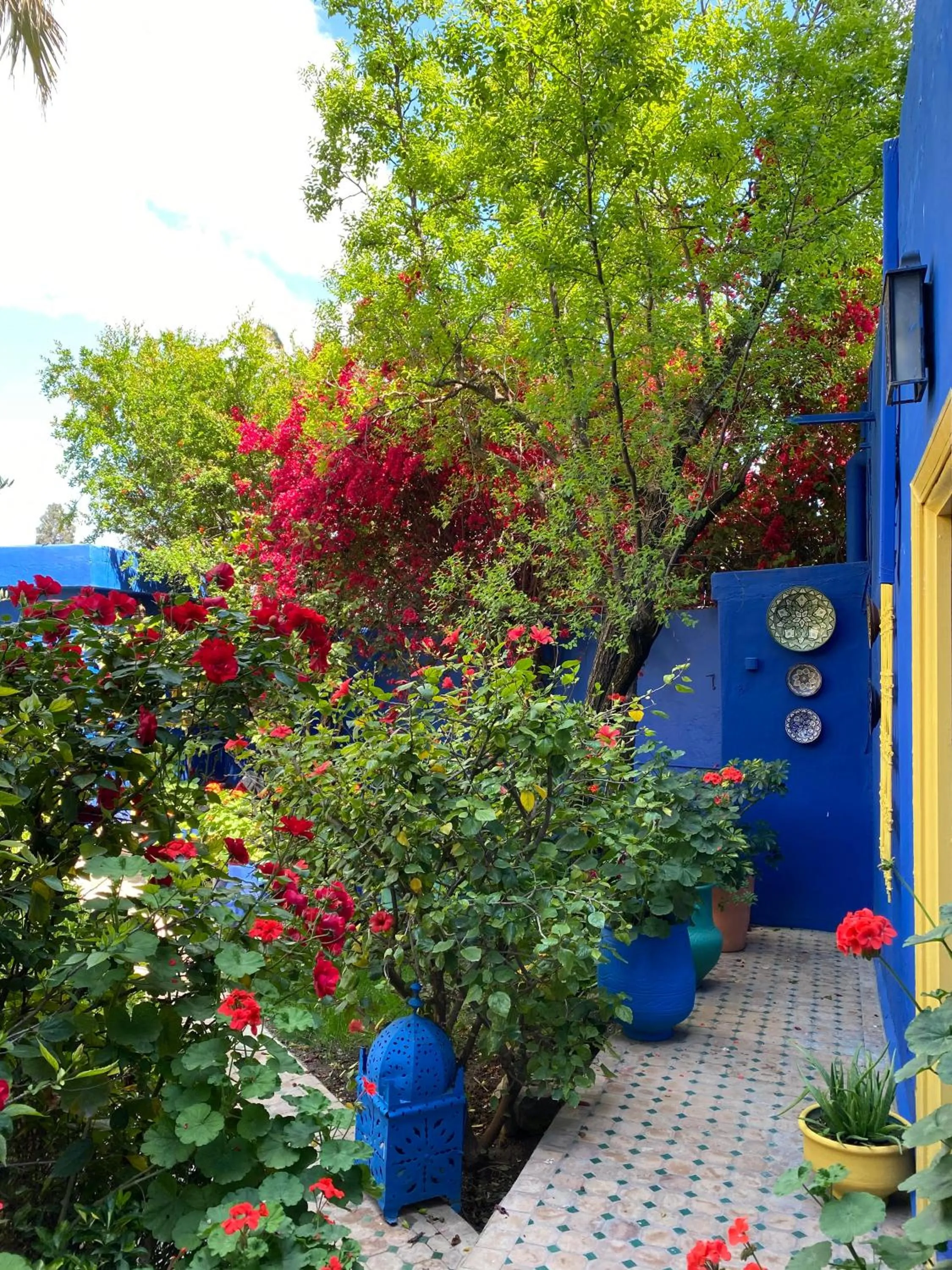 Garden in Riad Jean Claude