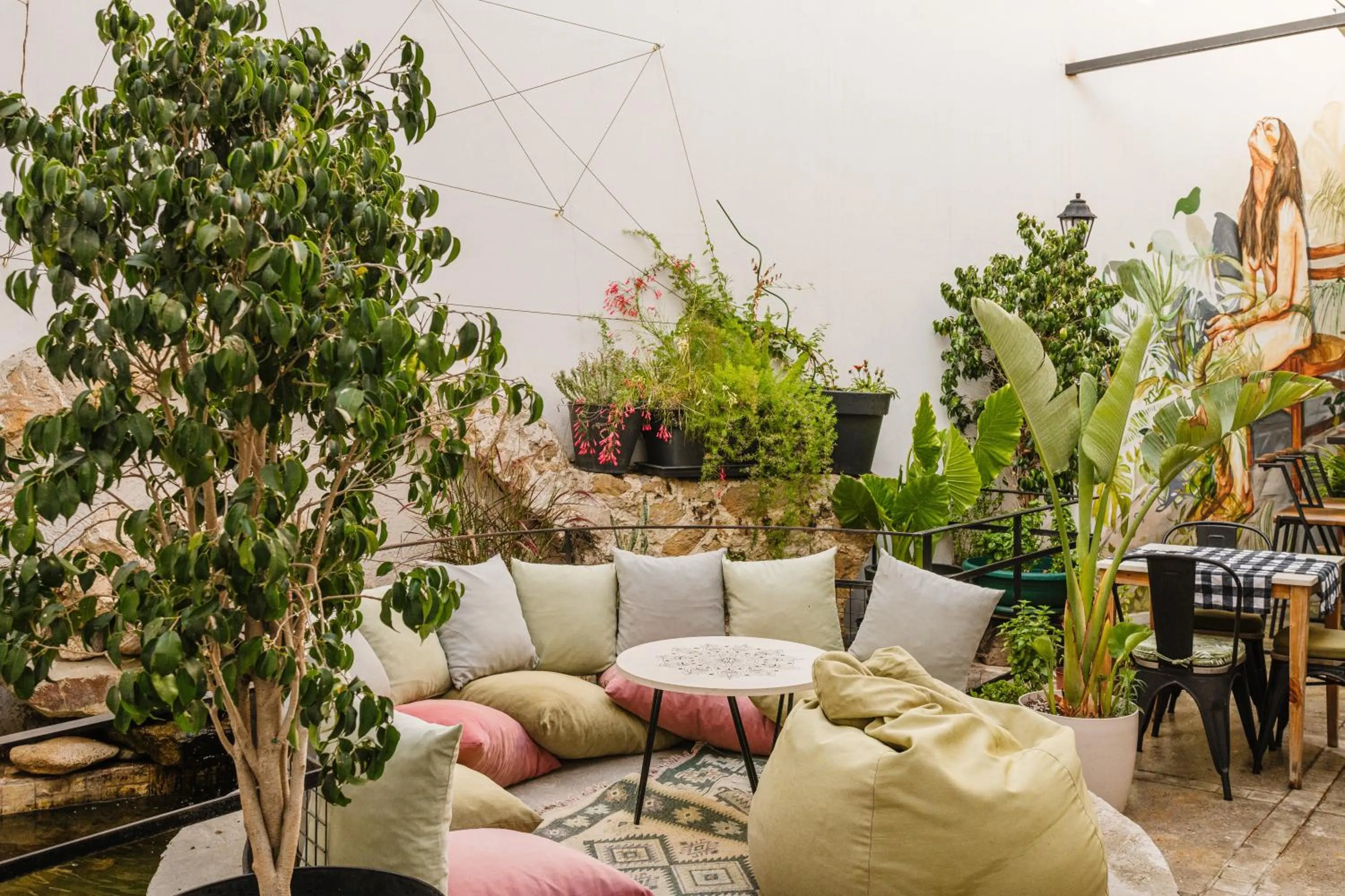 Garden in Djumba Hotel & Cafe