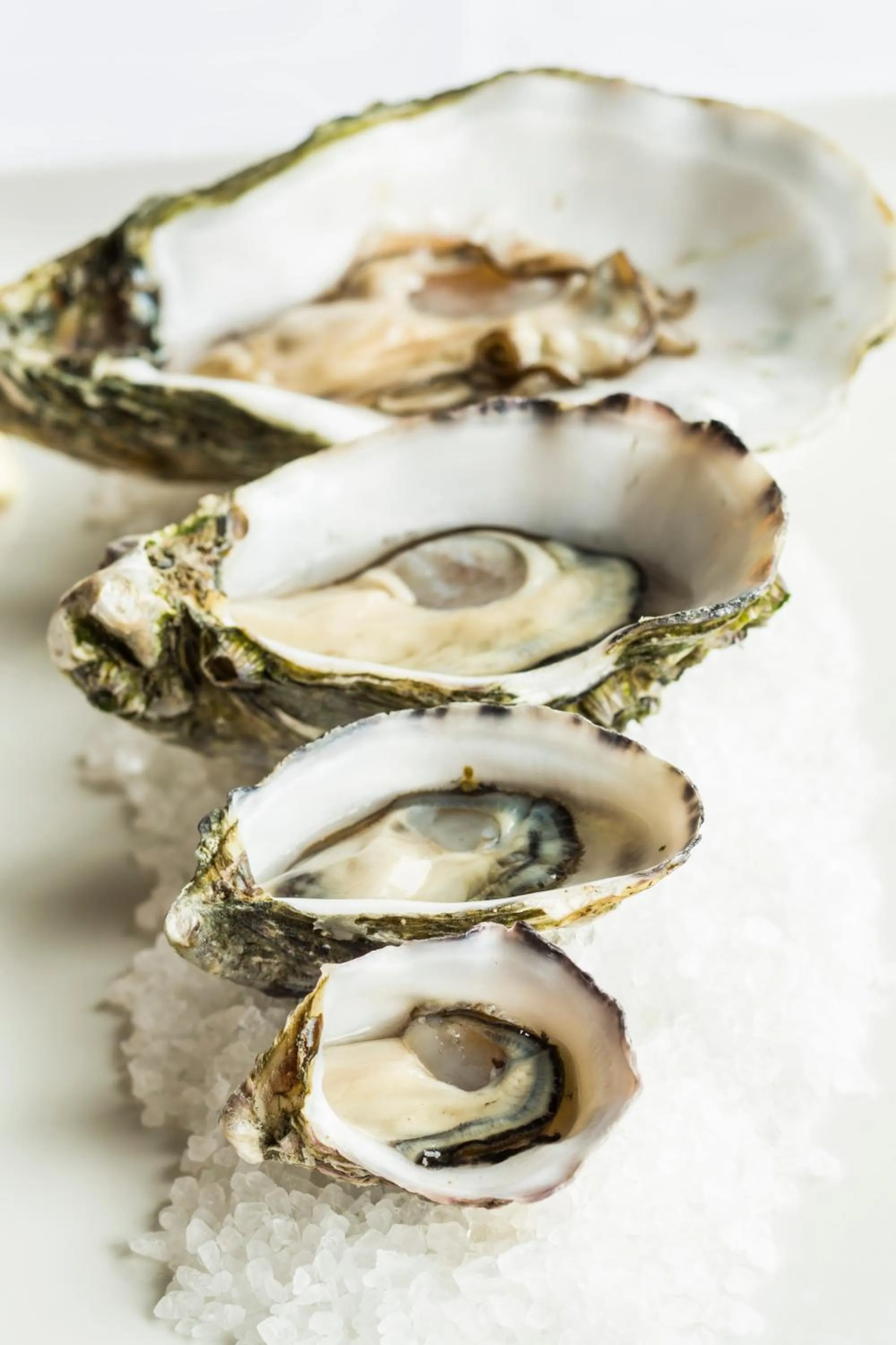 Food close-up in Port Lincoln Hotel