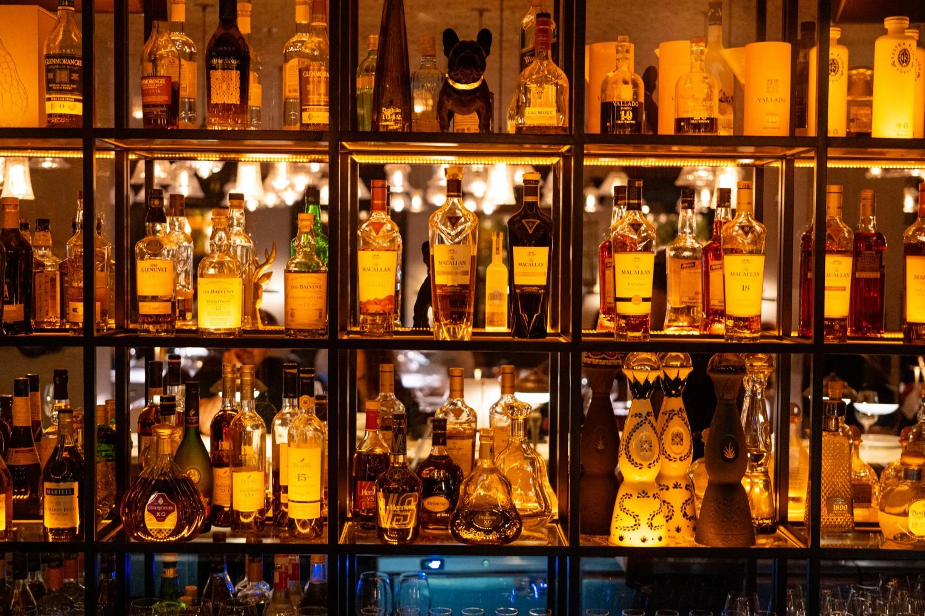 Restaurant/places to eat in Lear Sense Hotel