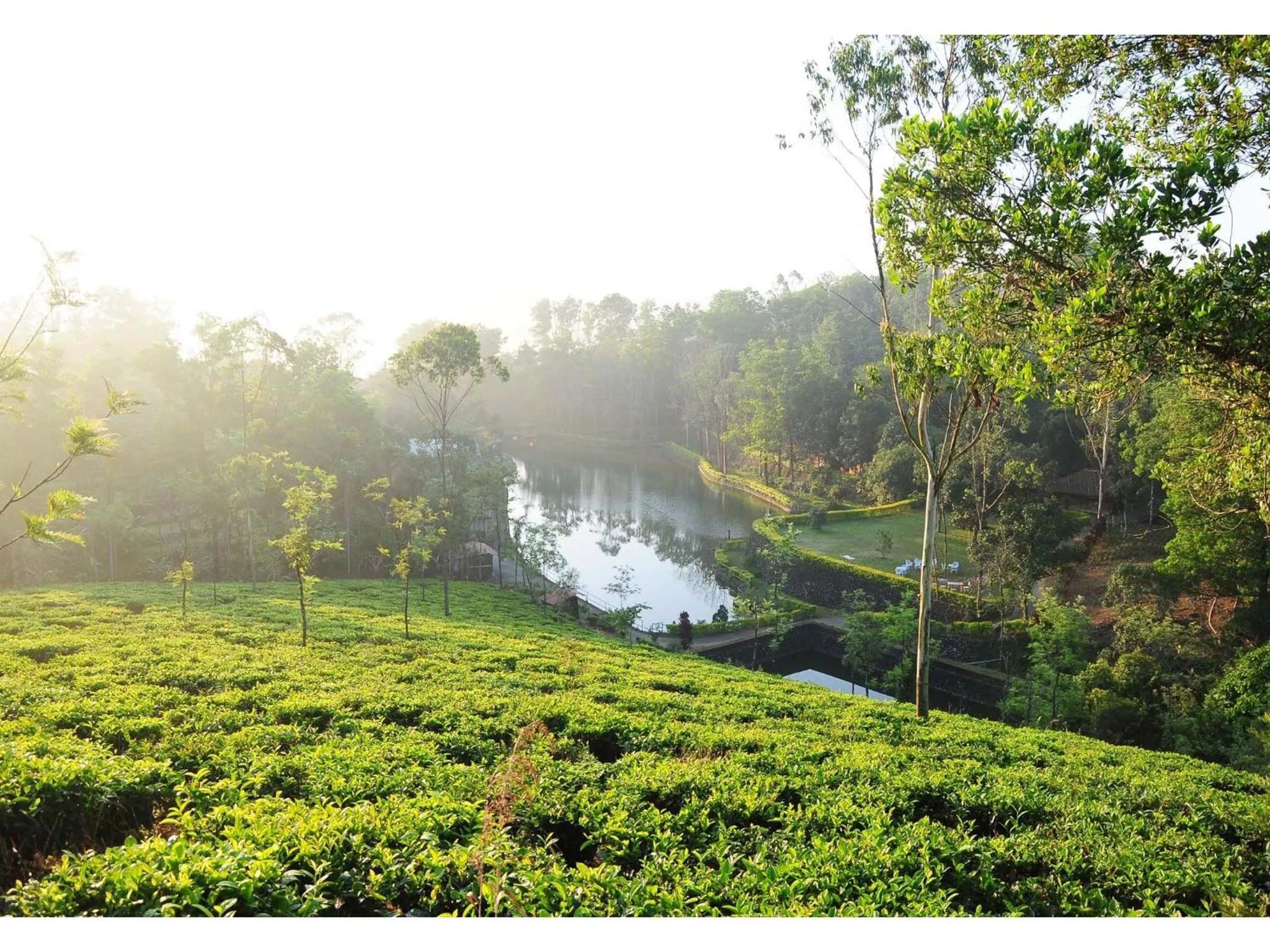Mountain view in Saj Vagamon Hideout