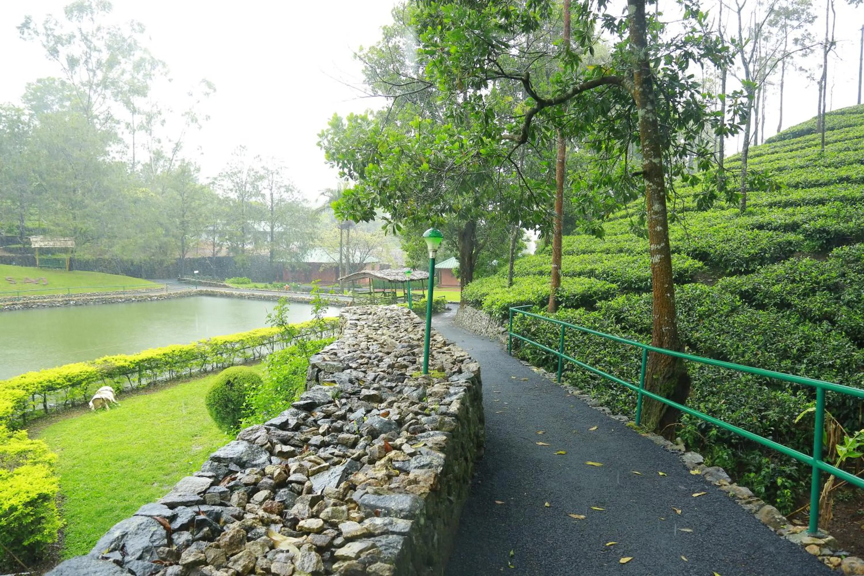 Mountain view in Saj Vagamon Hideout