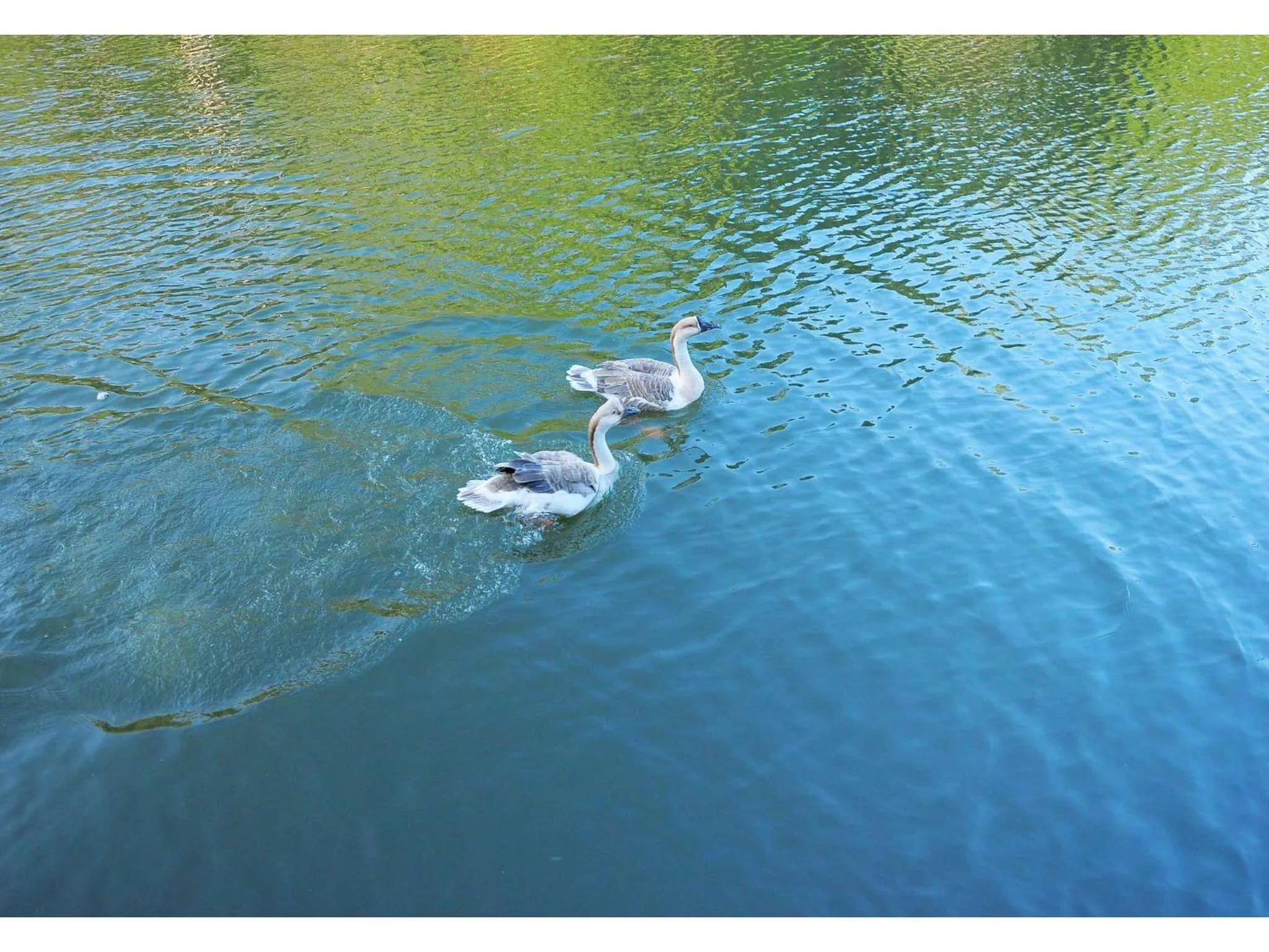Lake view in Saj Vagamon Hideout