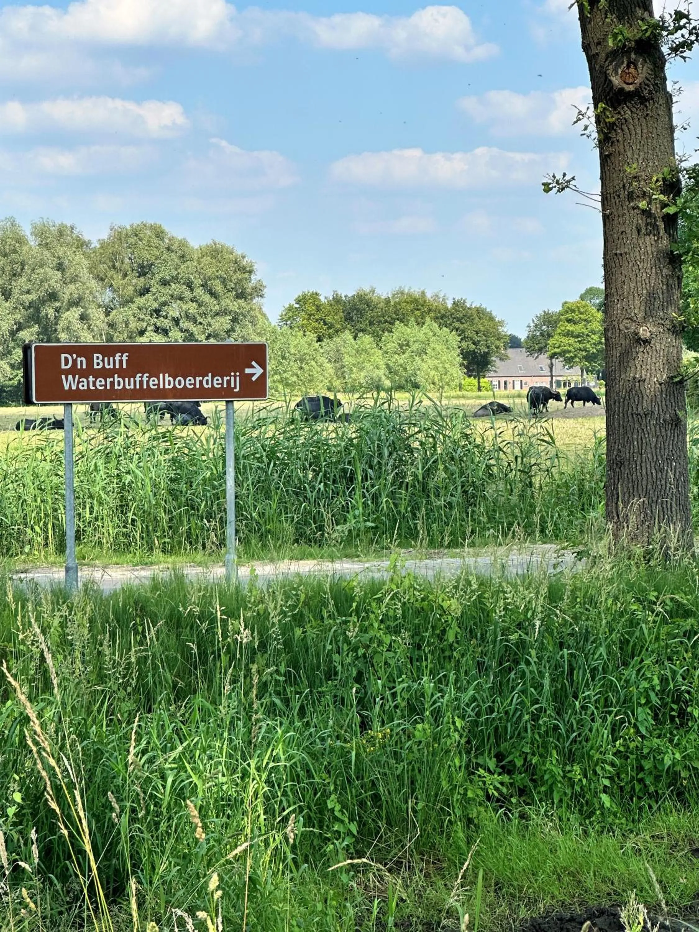 Area and facilities in Gasterij Hotel Dennenoord