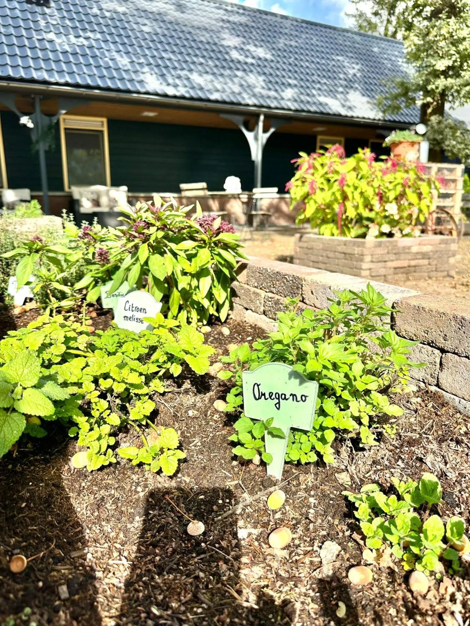 Property building in Gasterij Hotel Dennenoord