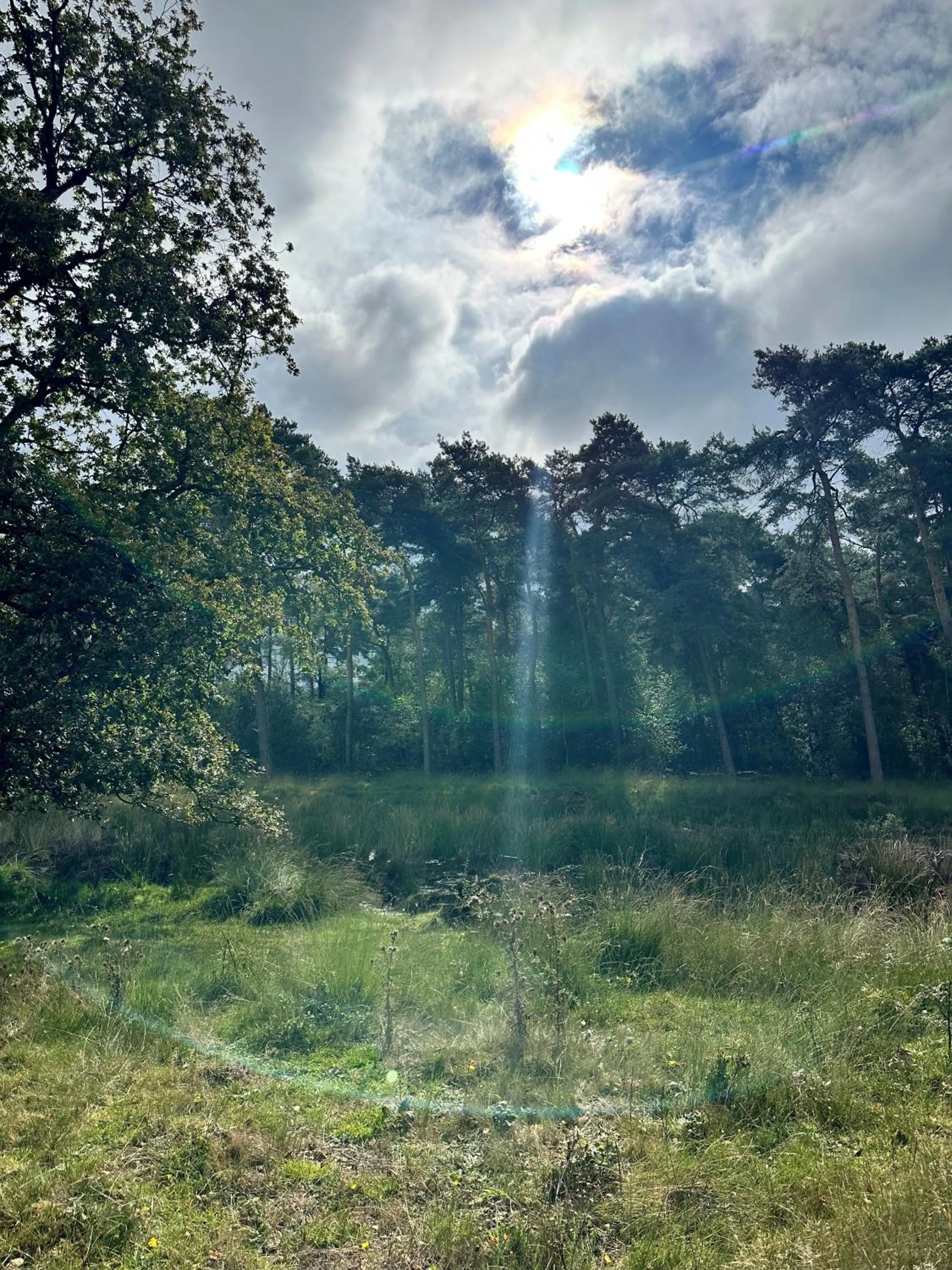 Natural landscape in Gasterij Hotel Dennenoord