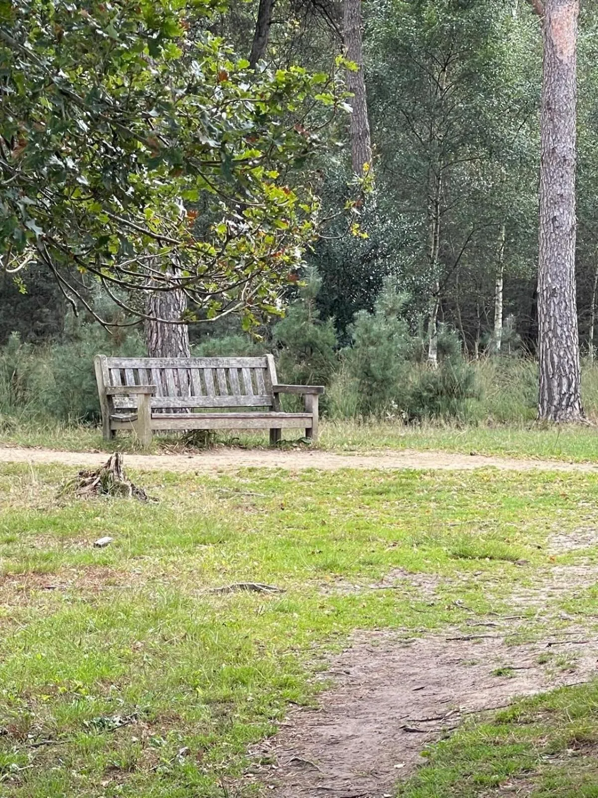 Off site in Gasterij Hotel Dennenoord