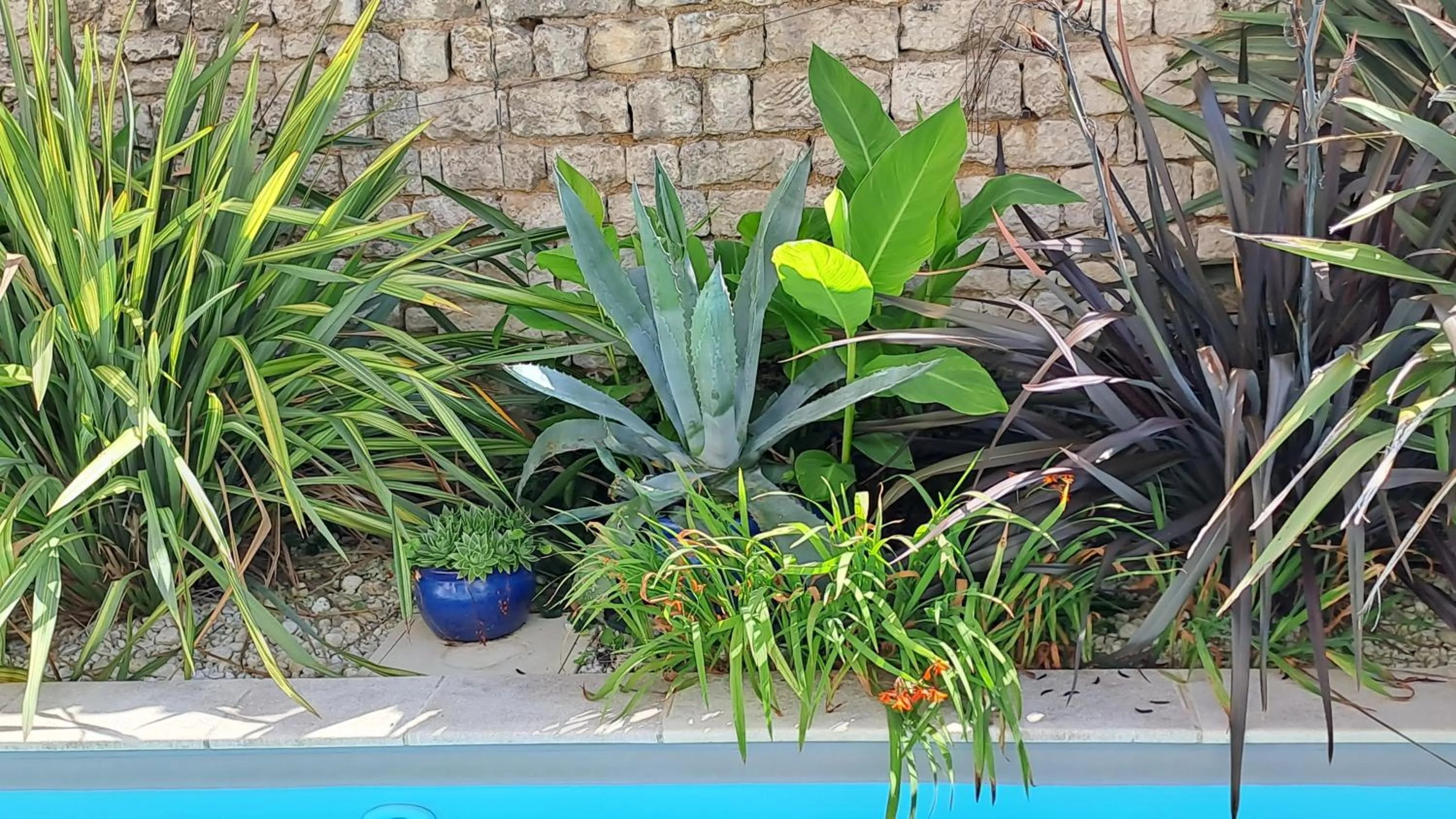 Spring in L'Angély - Chambres d'Hôtes