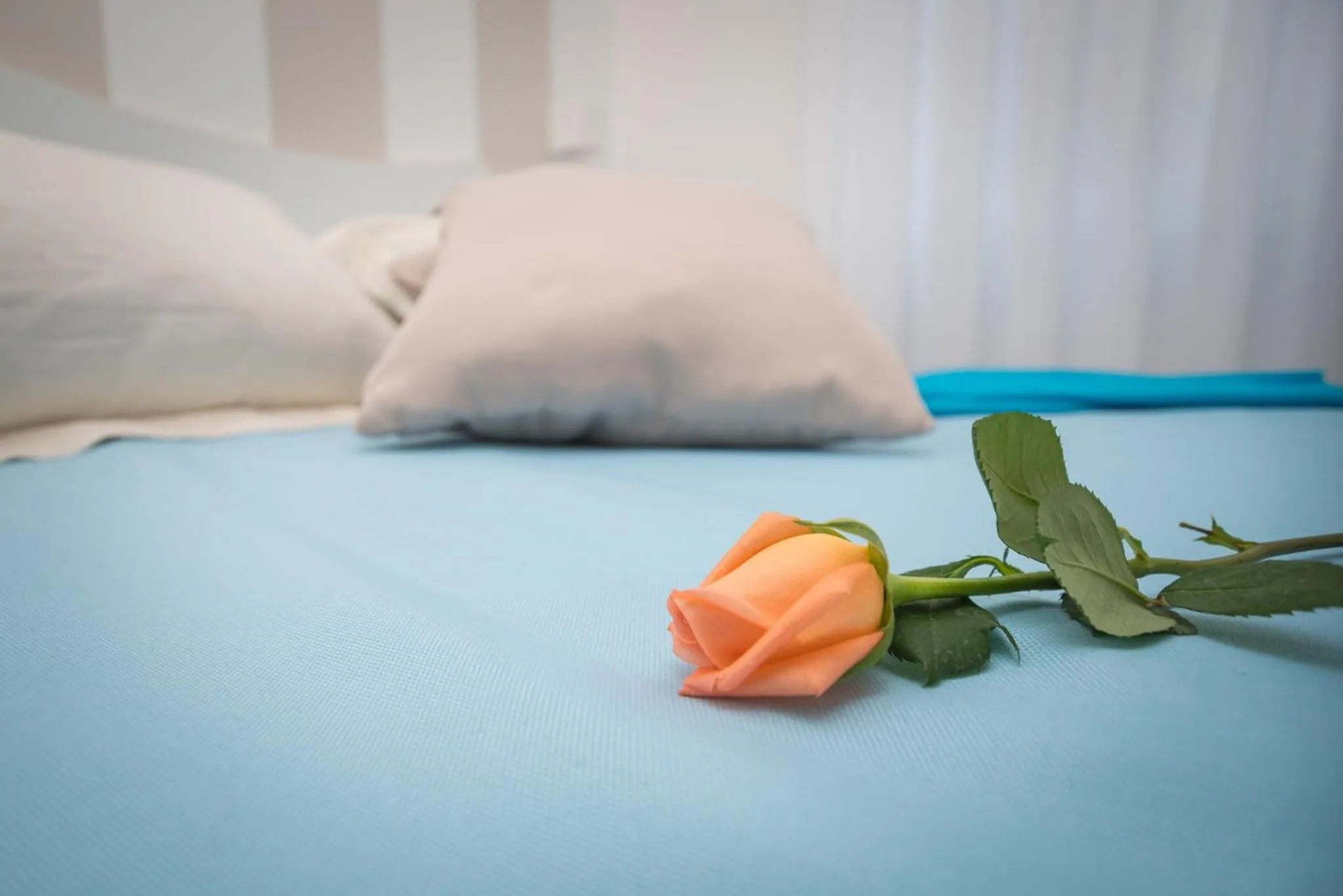 Bed in Chiaro di Luna