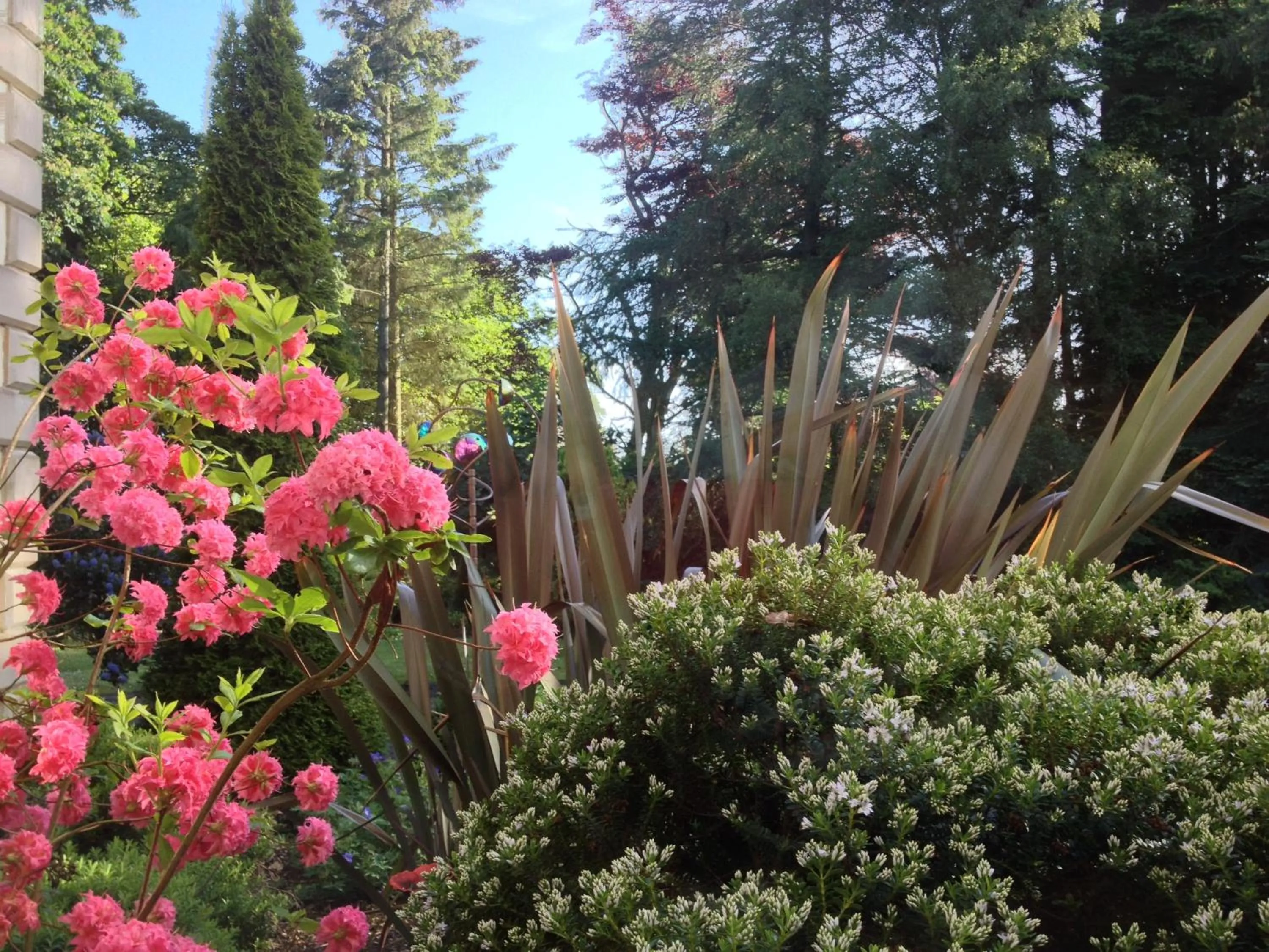 Garden view in Arden Country House