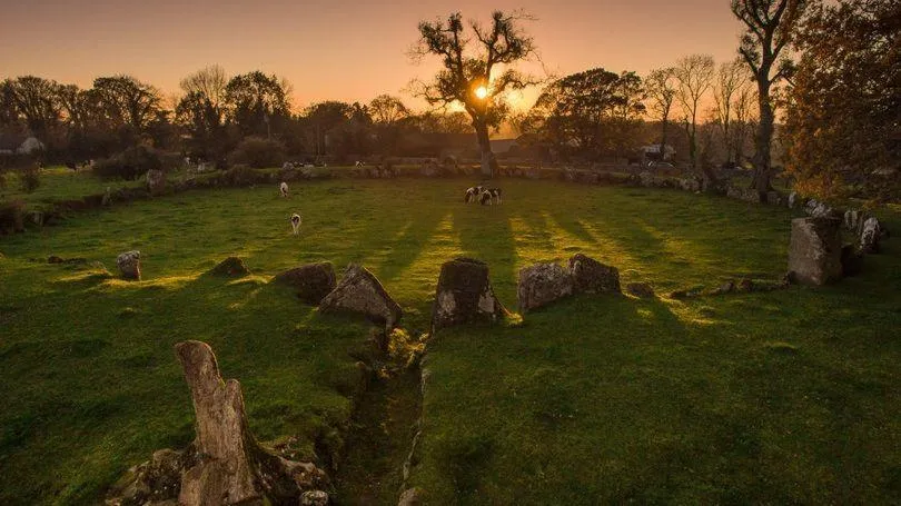 Off site in The Old Bank Bruff Family Town House