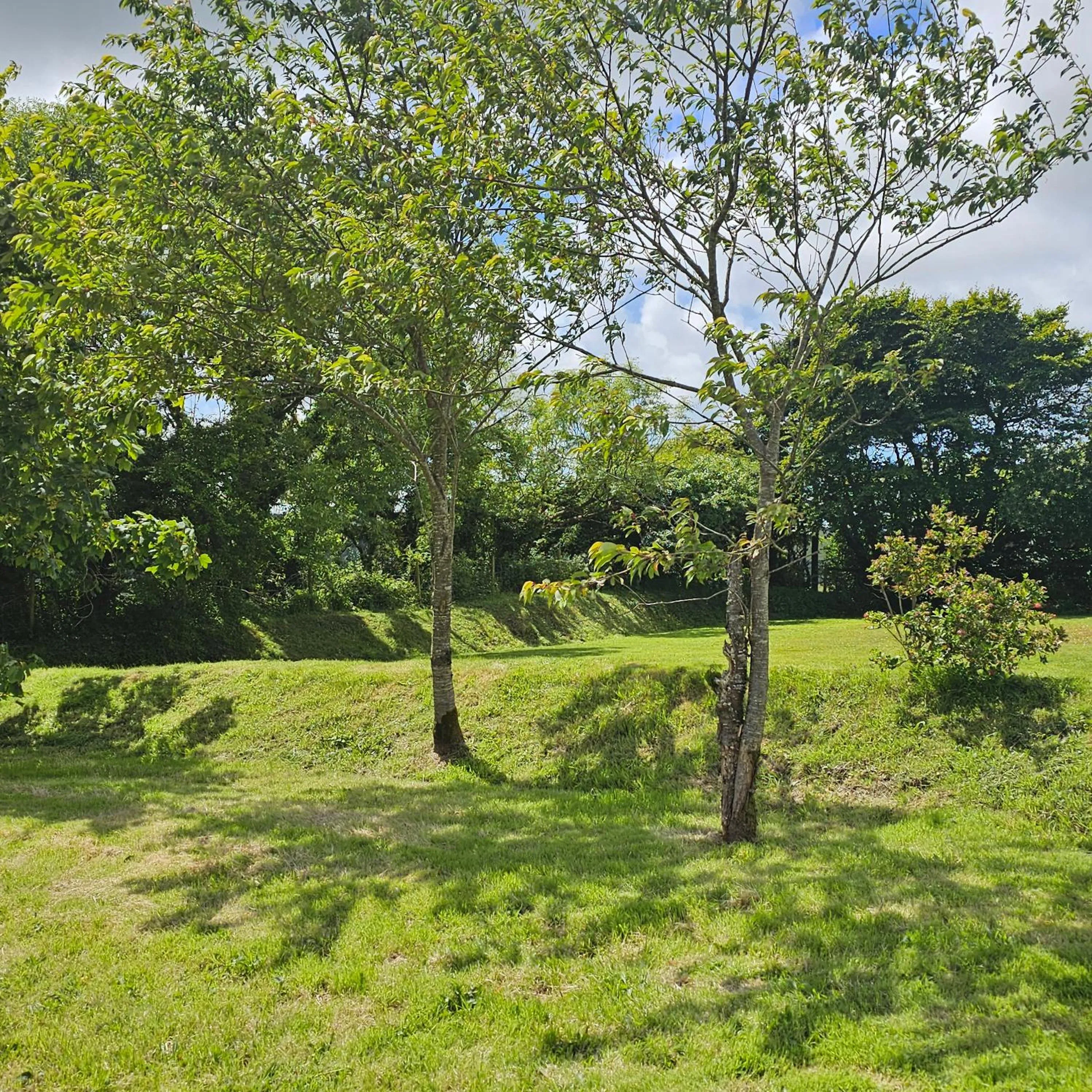 The West Country Inn