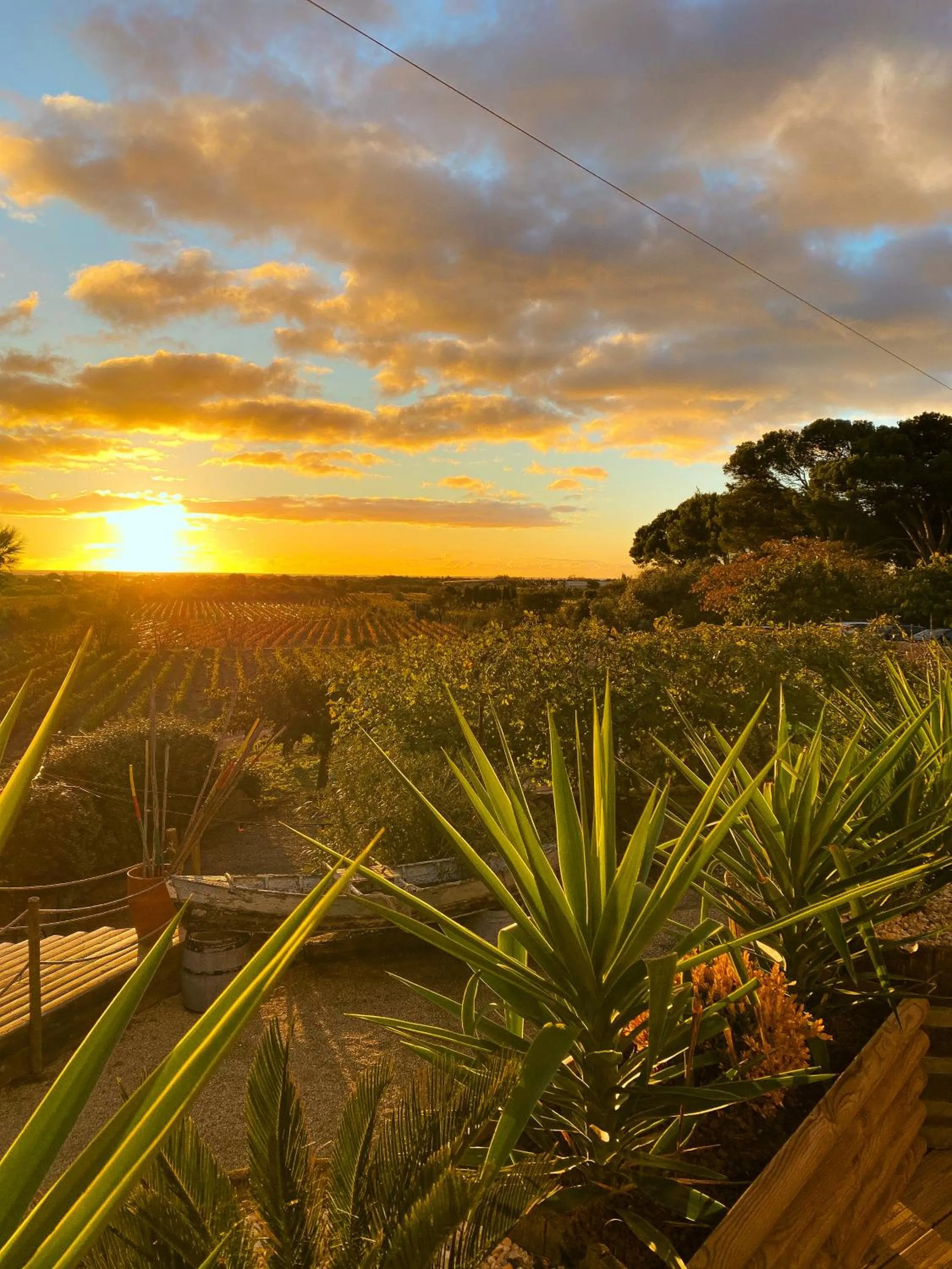 Patio in Château le Bouïs