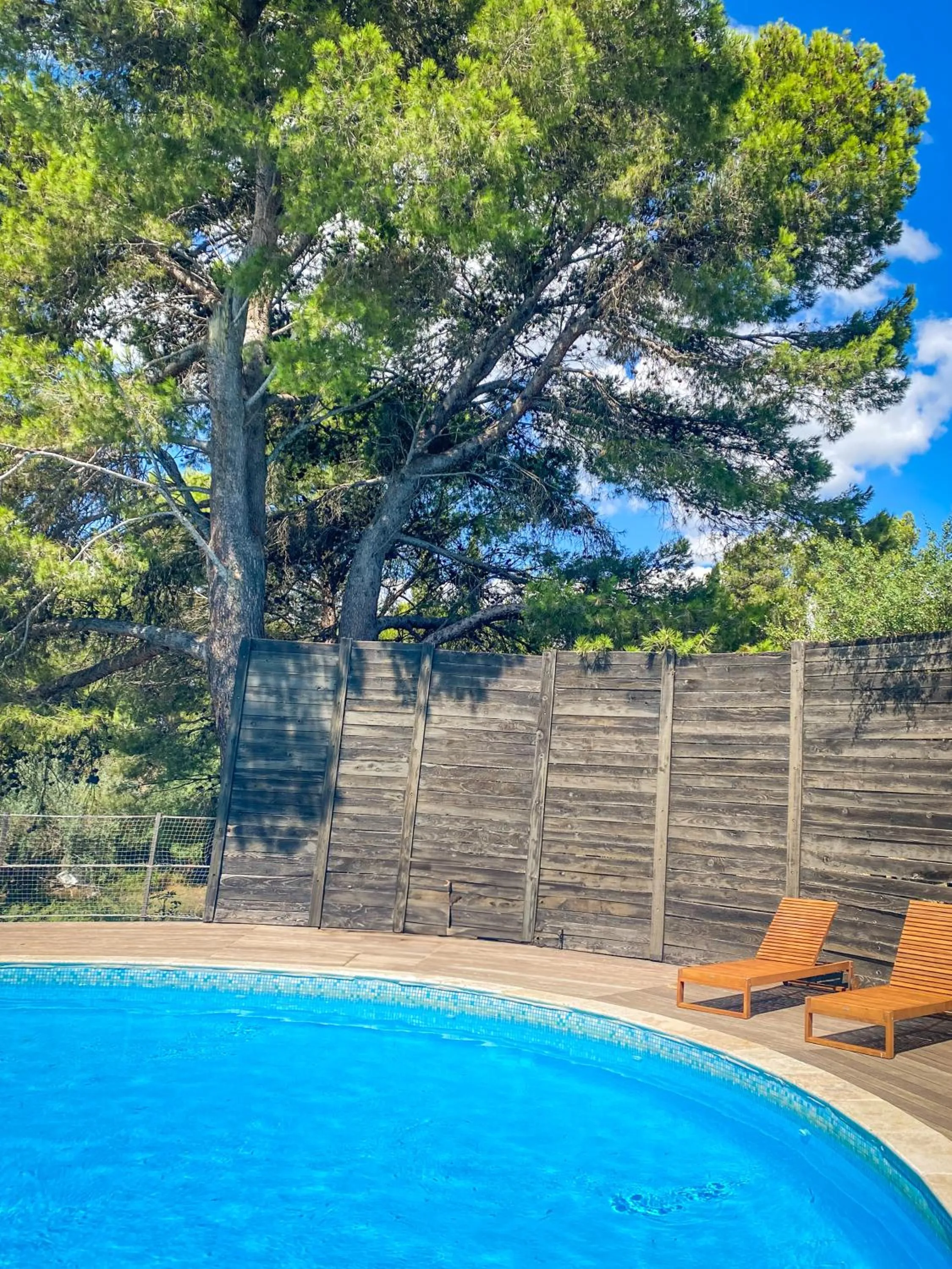 Swimming pool in Château le Bouïs