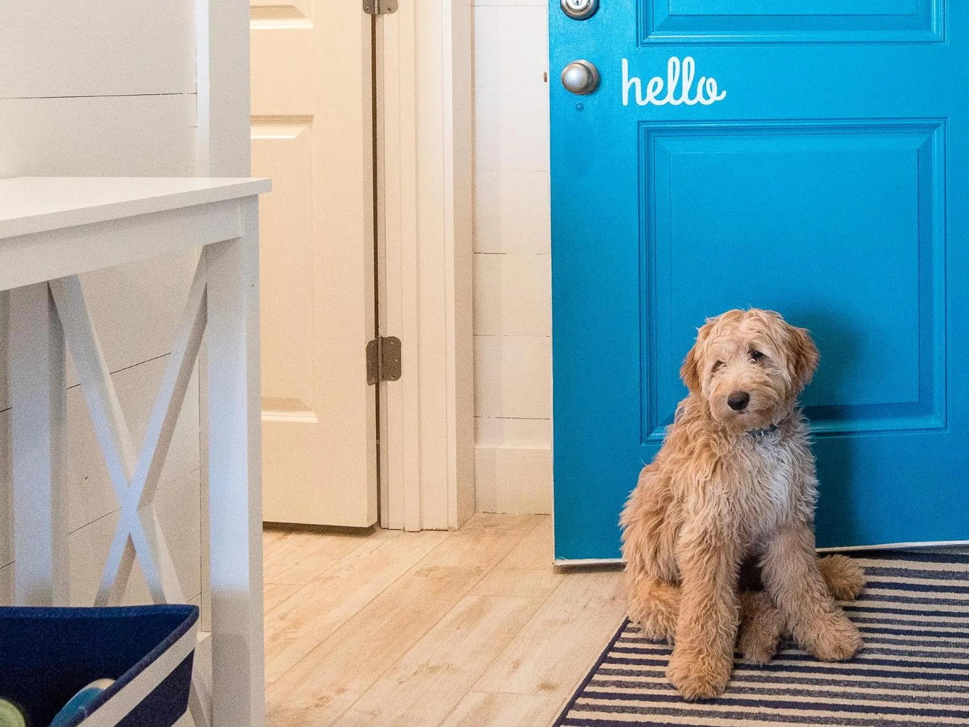 Pets in TRUE BLUE-Coastal cottage-3 min walk to beach! POOL!