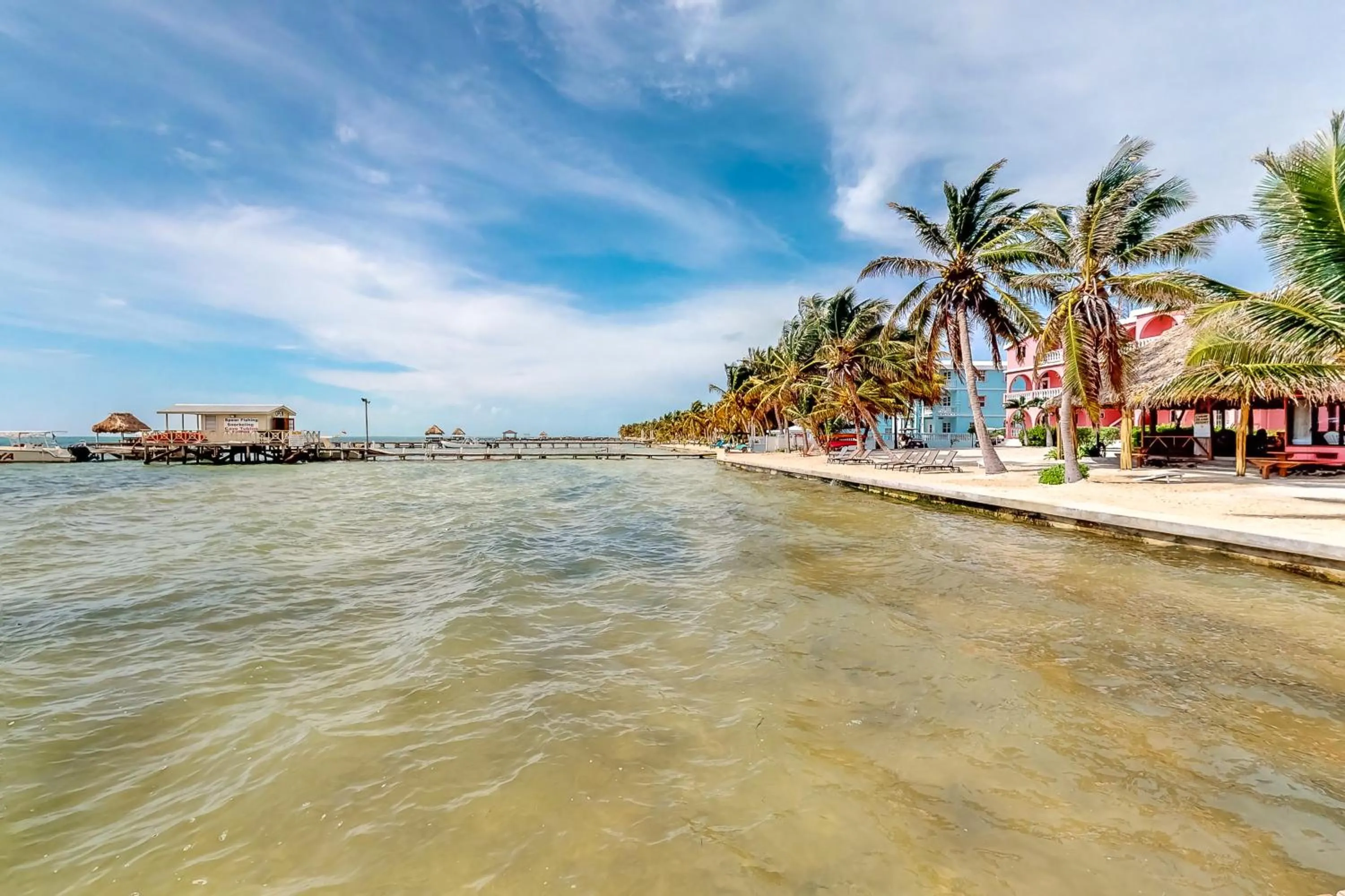 Palm @ Caribe Island