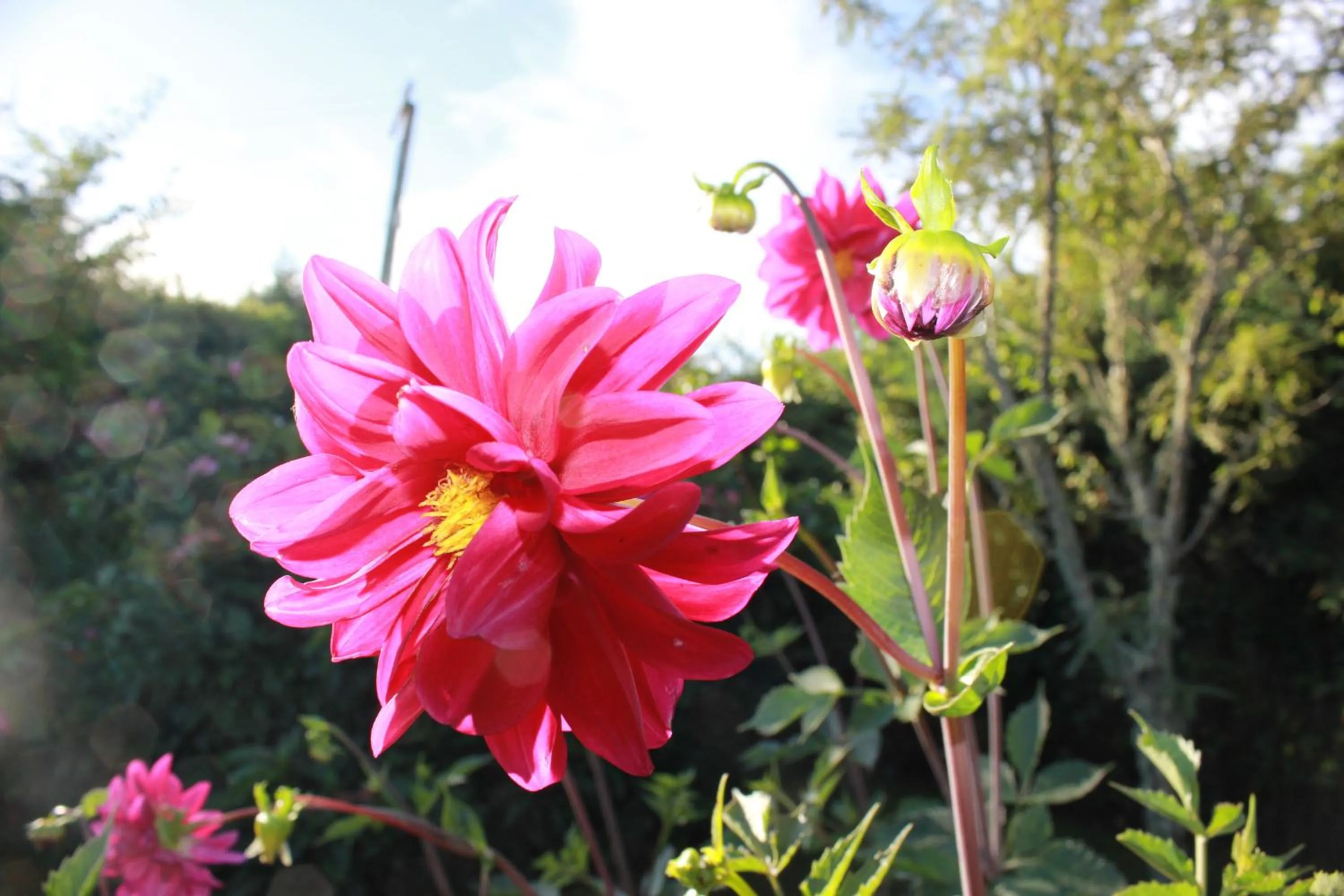Spring in Jack & Di's Lakefront Motel