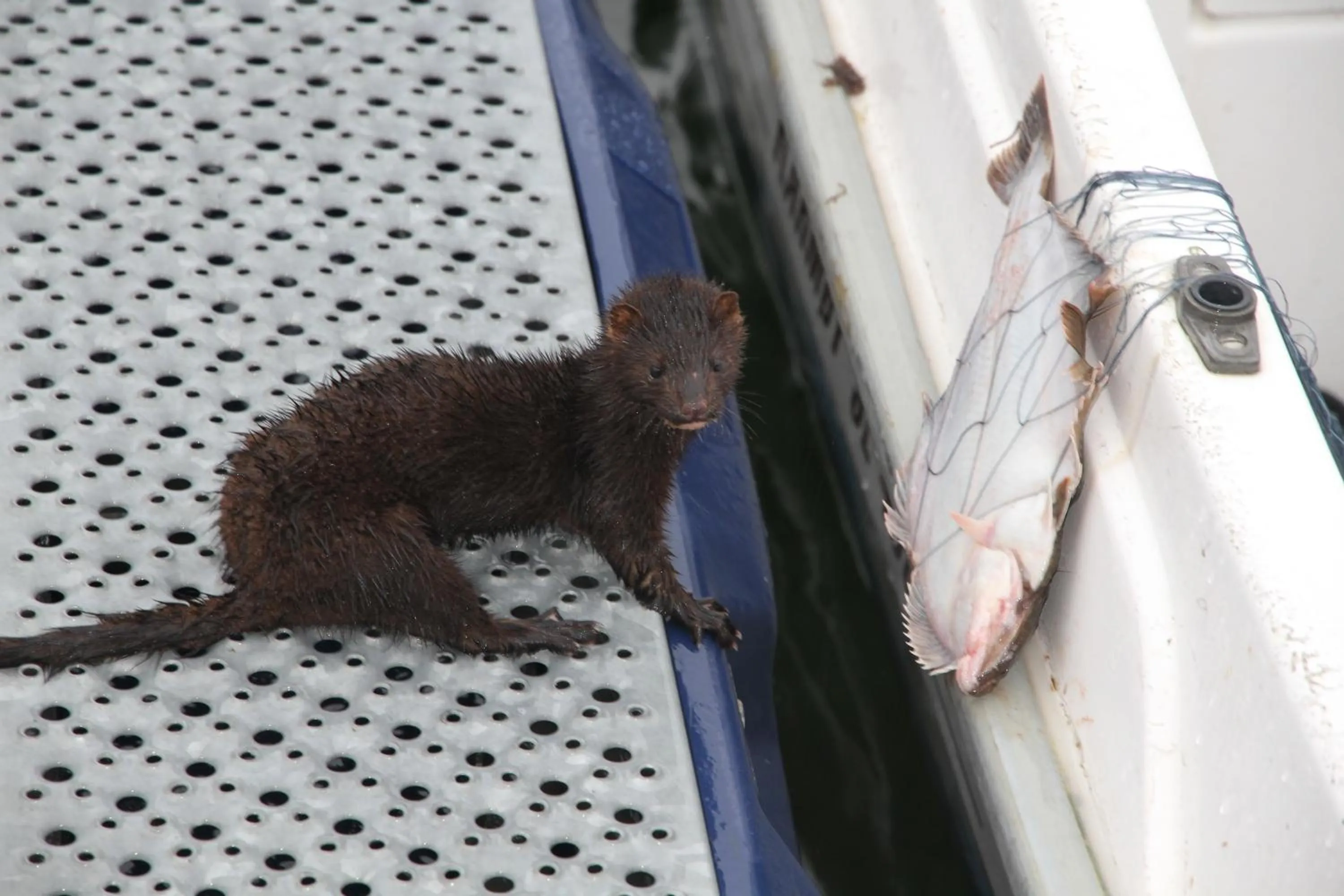 View (from property/room) in Sjøberg Hotell og Ferie Leiligheter
