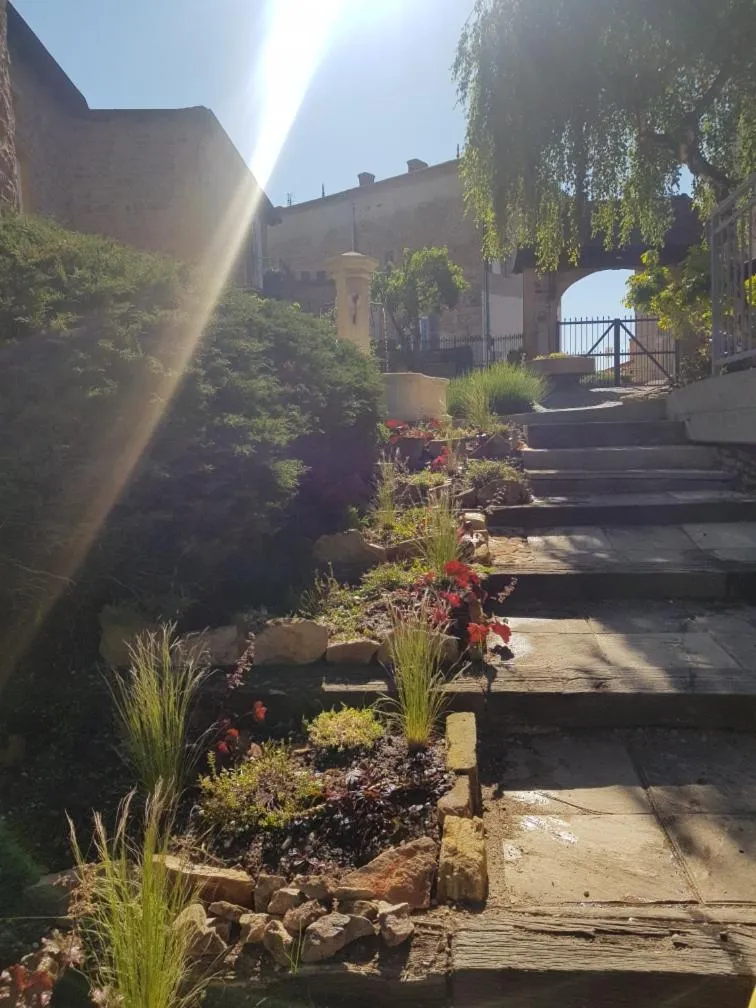 Garden in DOMAINE DE LA RESERVE